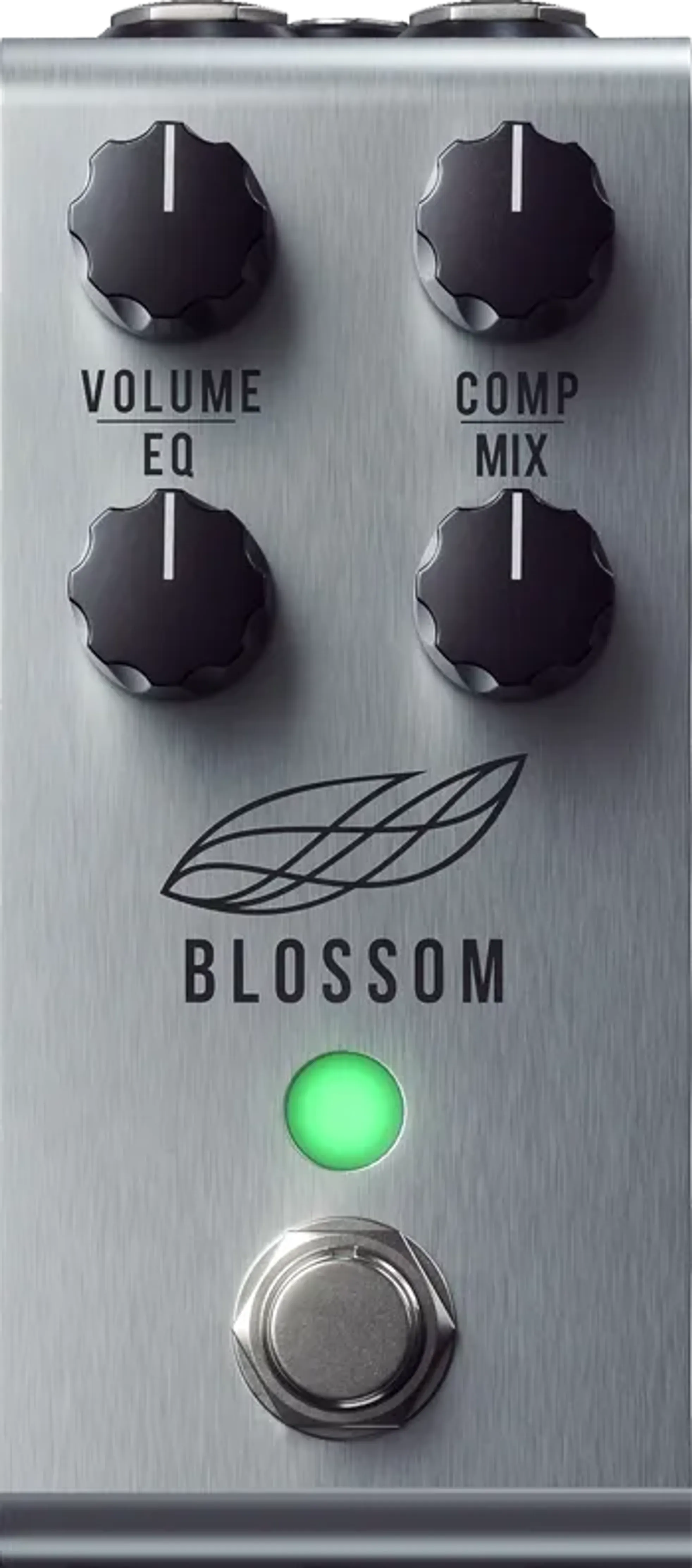 Jackson Audio-Blossom