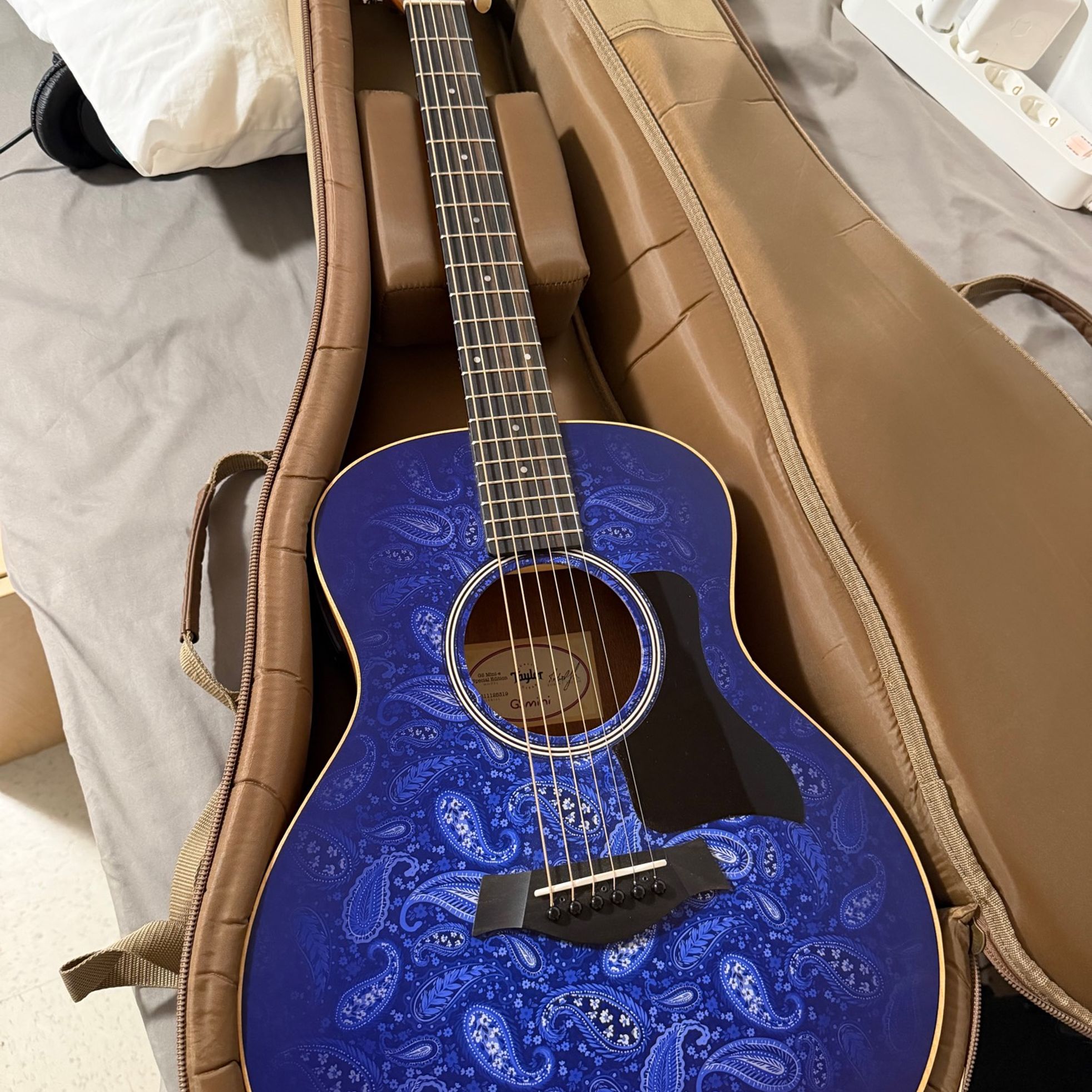 Taylor-GS Mini-e-5