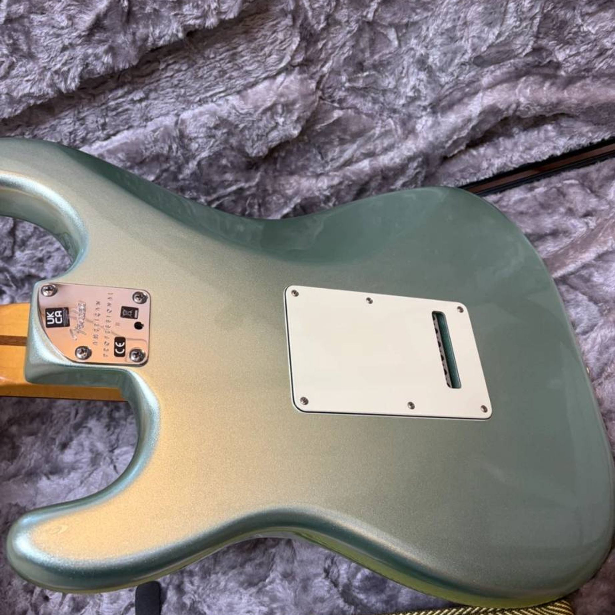 Fender-American Professional II Stratocaster-3