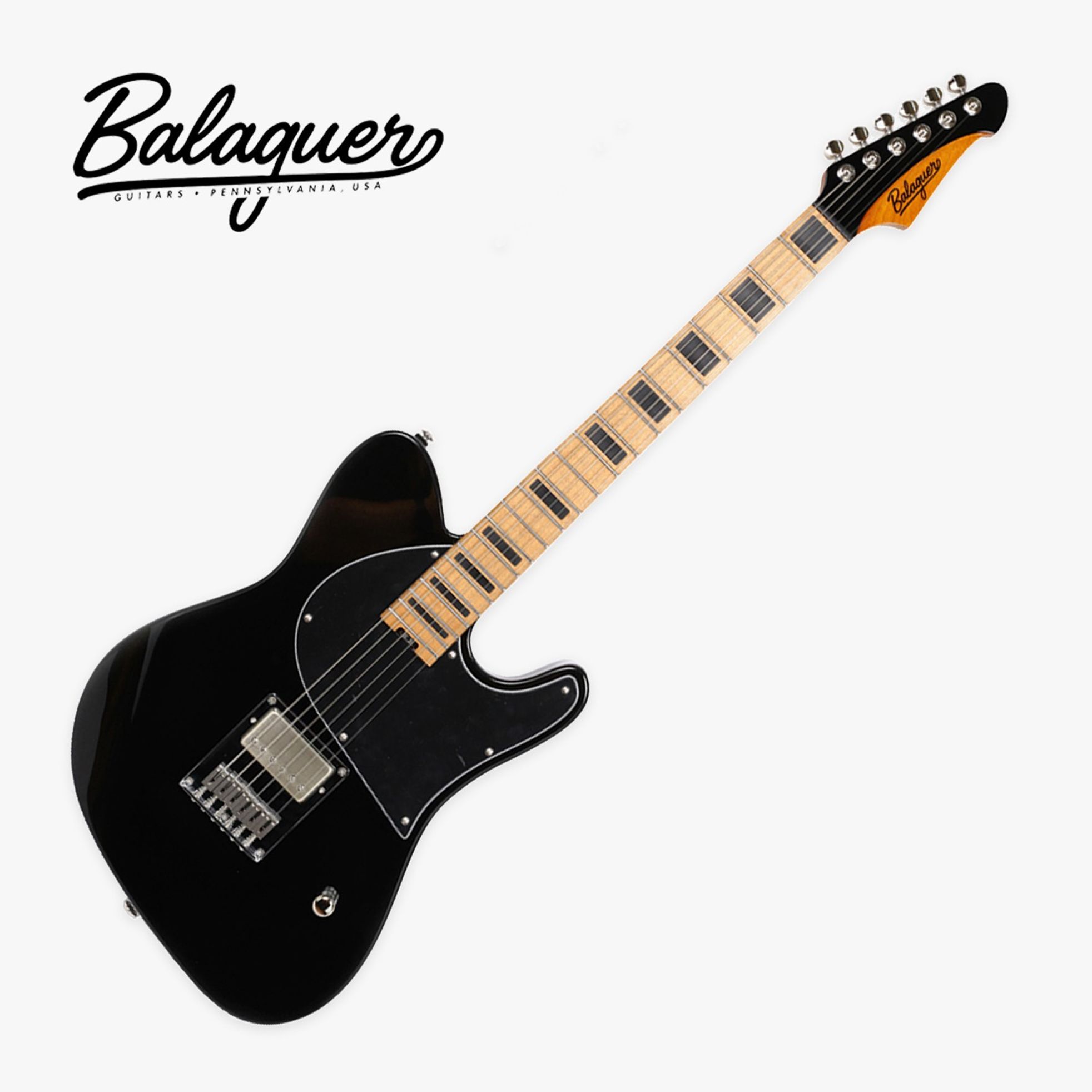 Balaguer-Thicket FYS SIG-1