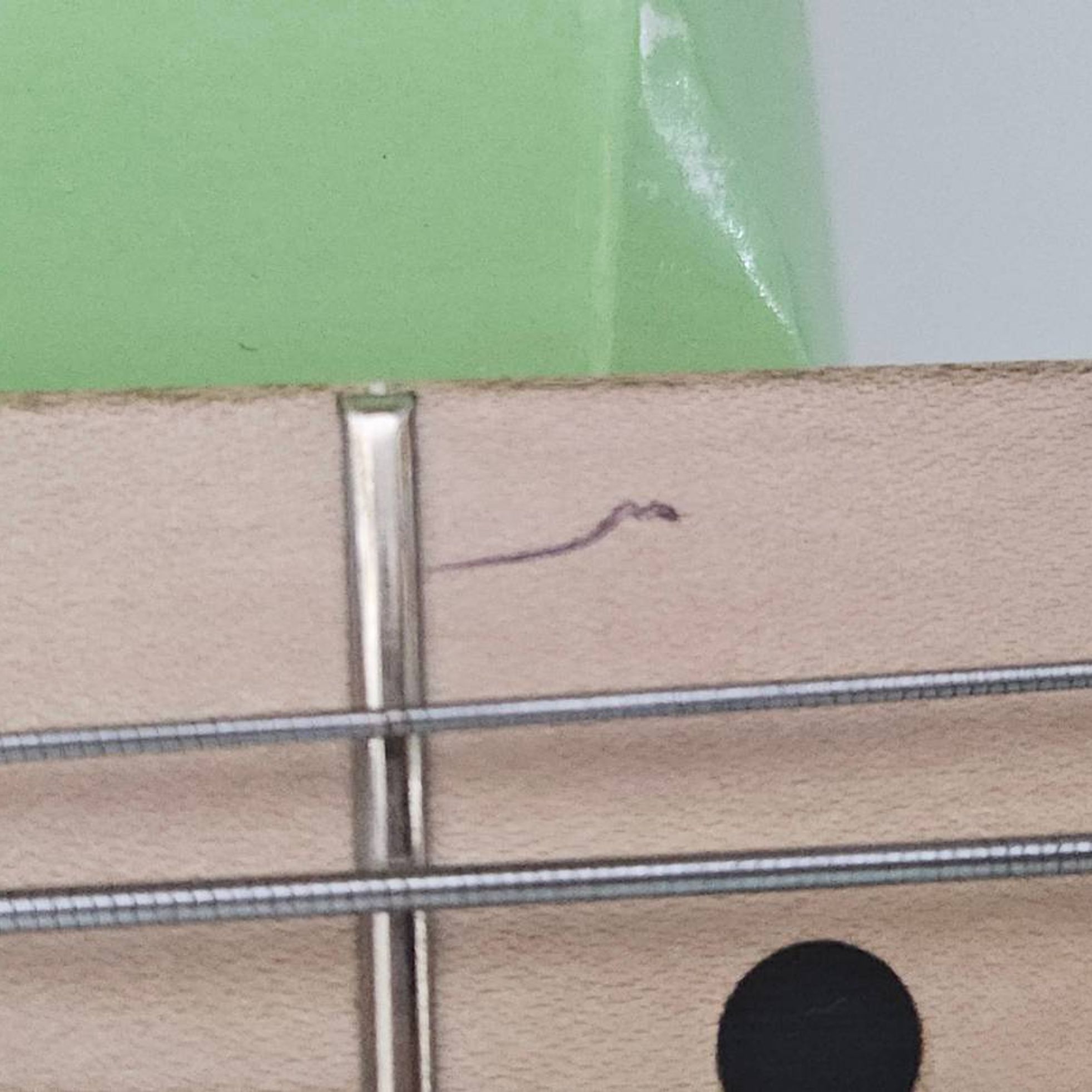 Sterling by Music Man--8