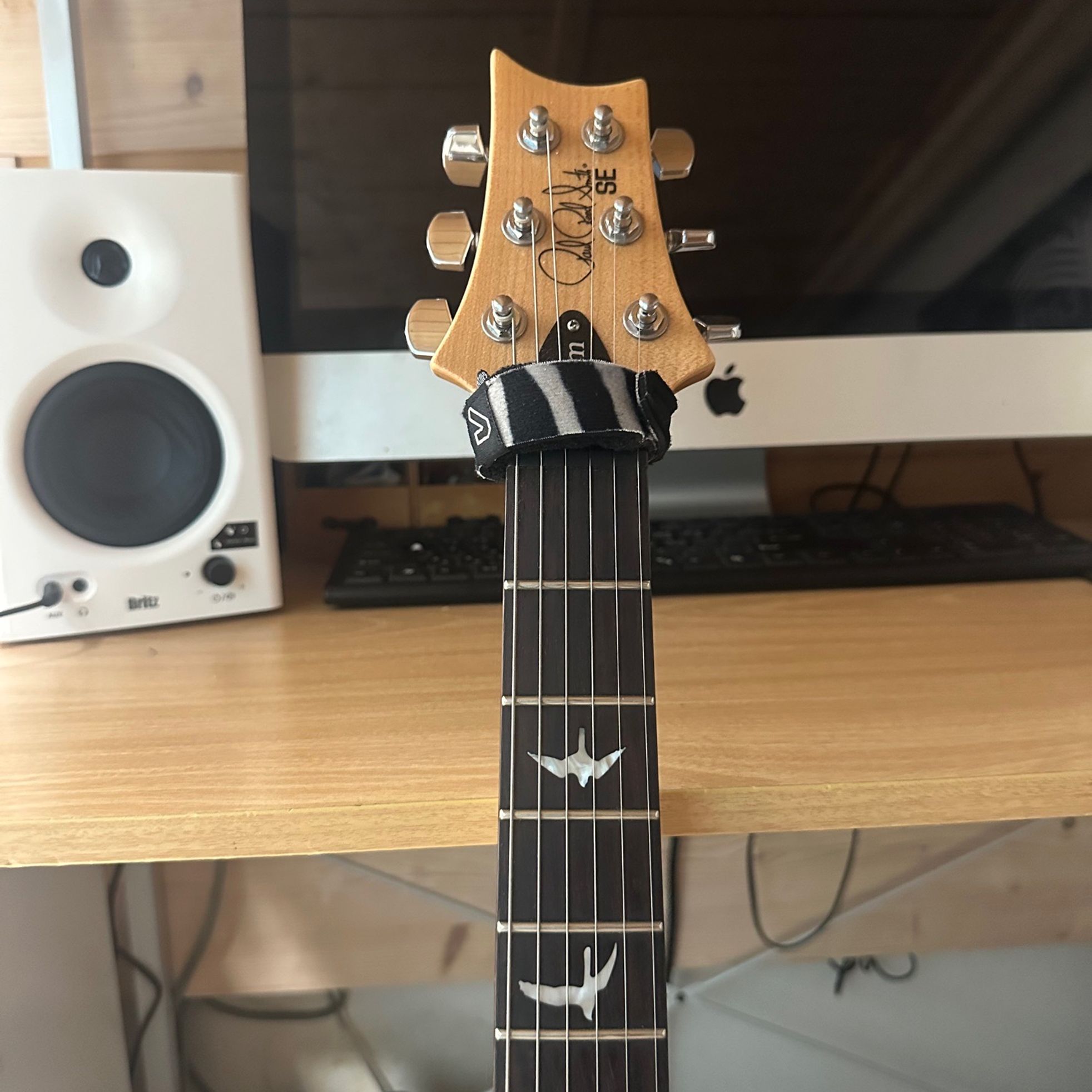 PRS Guitars-SE Custom 24-6