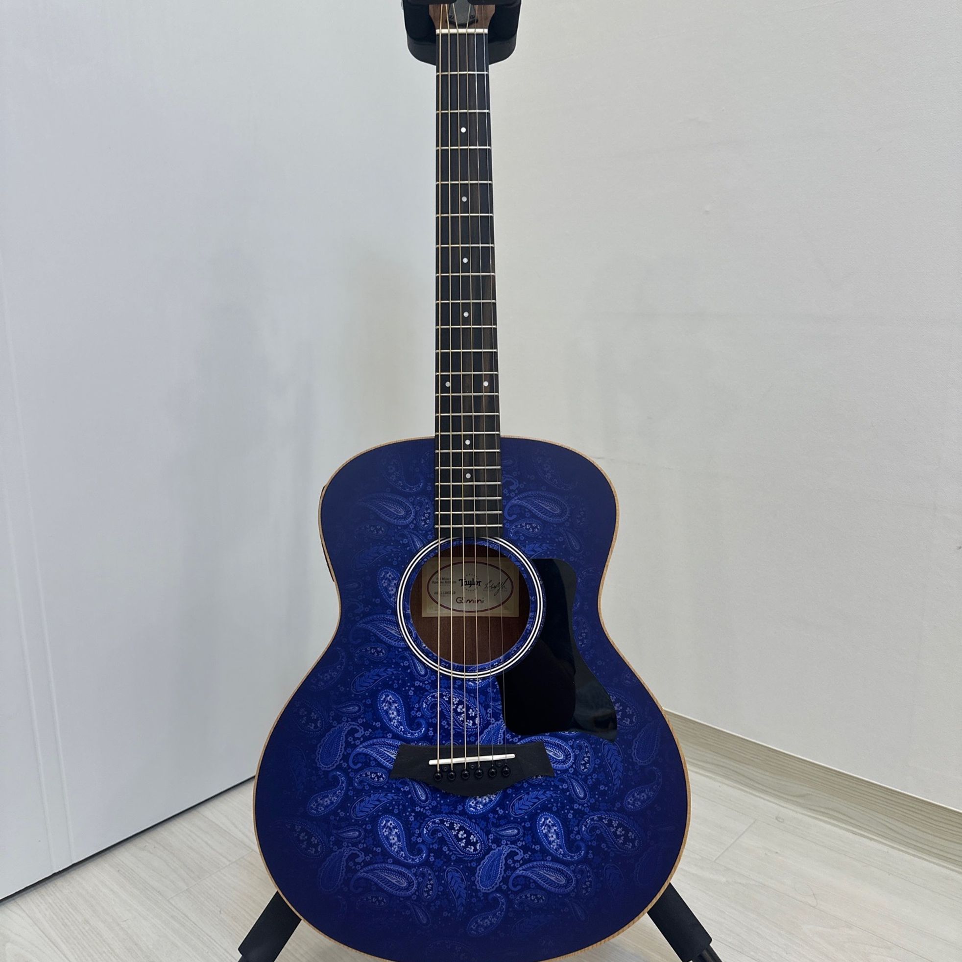 Taylor-GS Mini-e-1