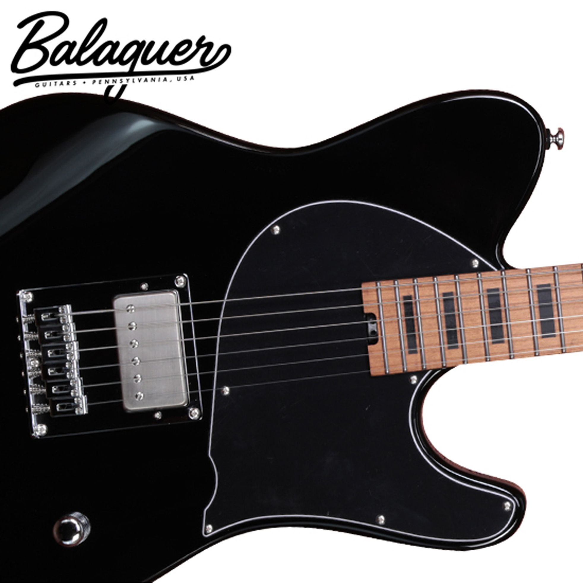 Balaguer-Thicket FYS SIG-2