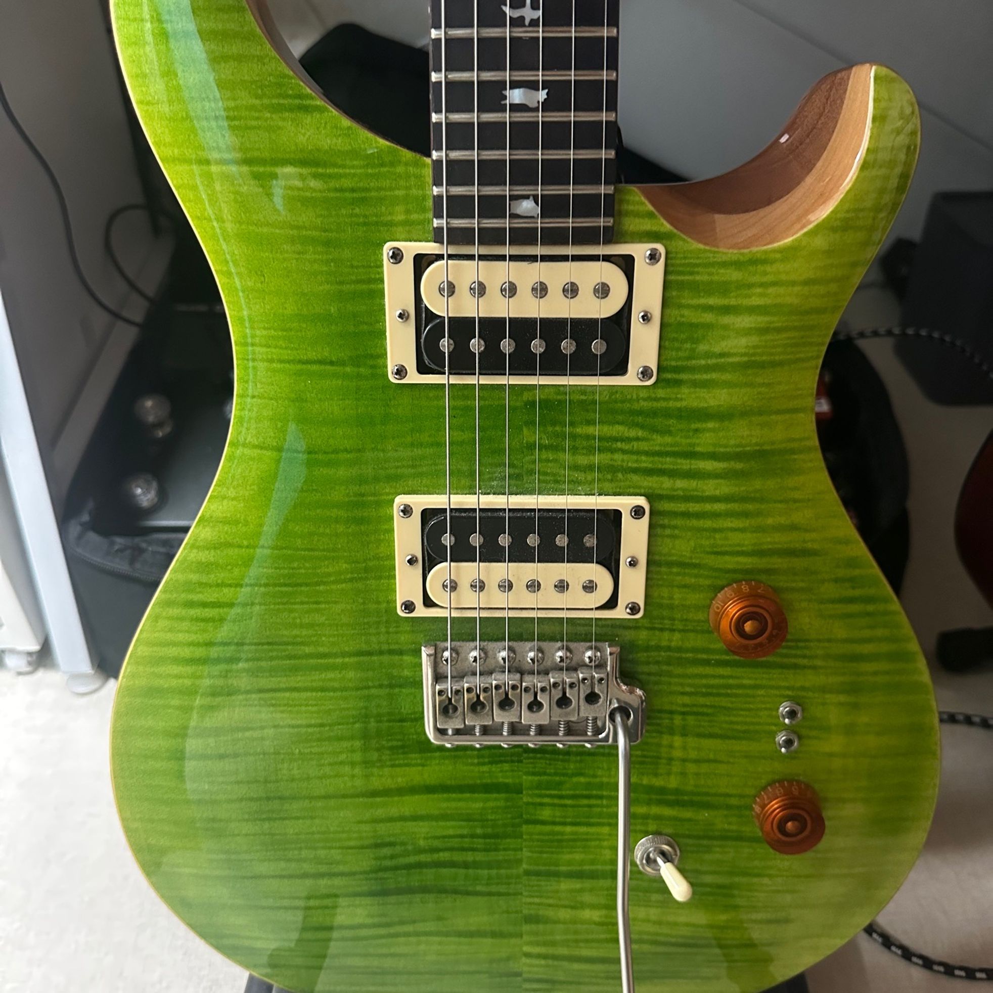 PRS Guitars-SE Custom 24-4