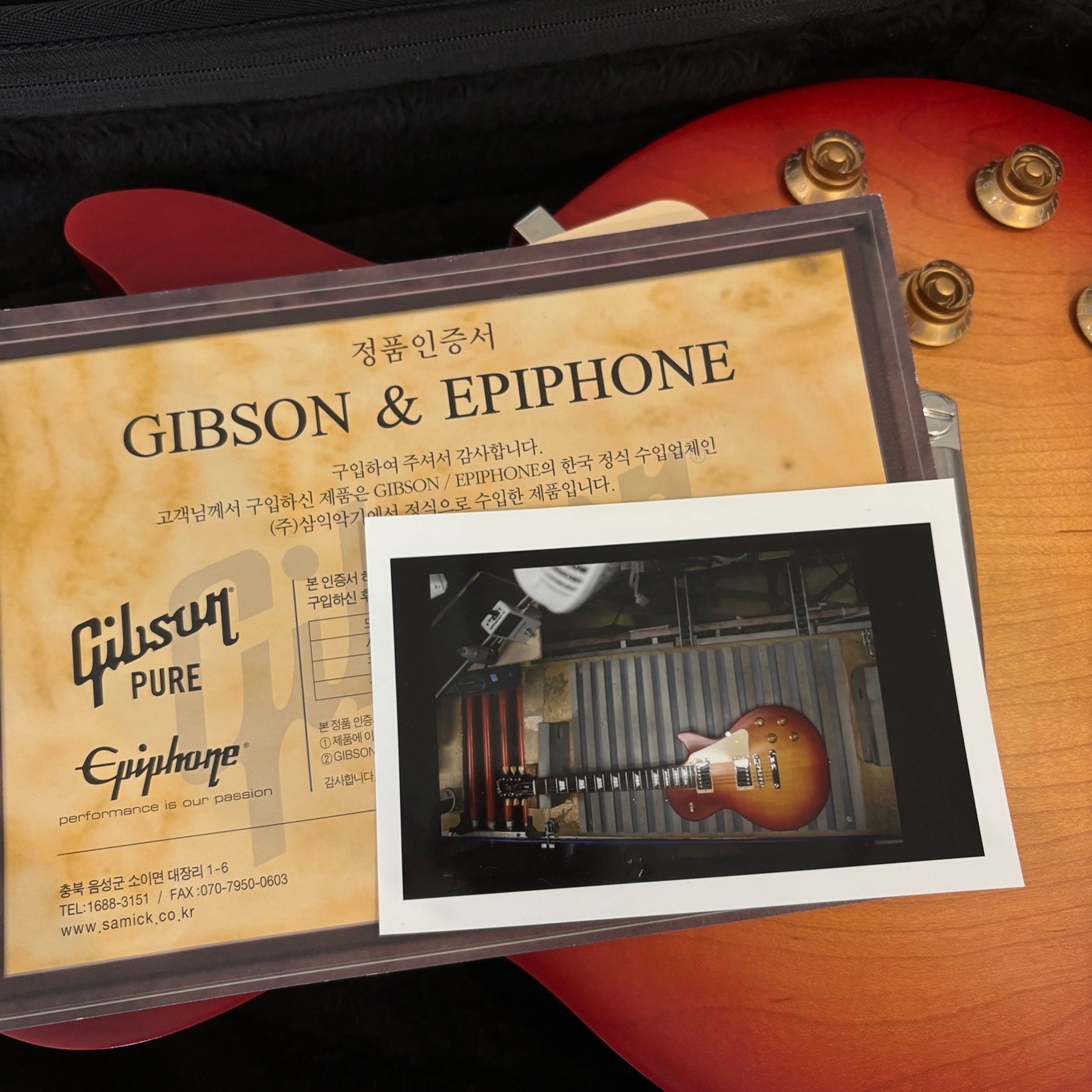 Gibson-Les Paul Tribute-5