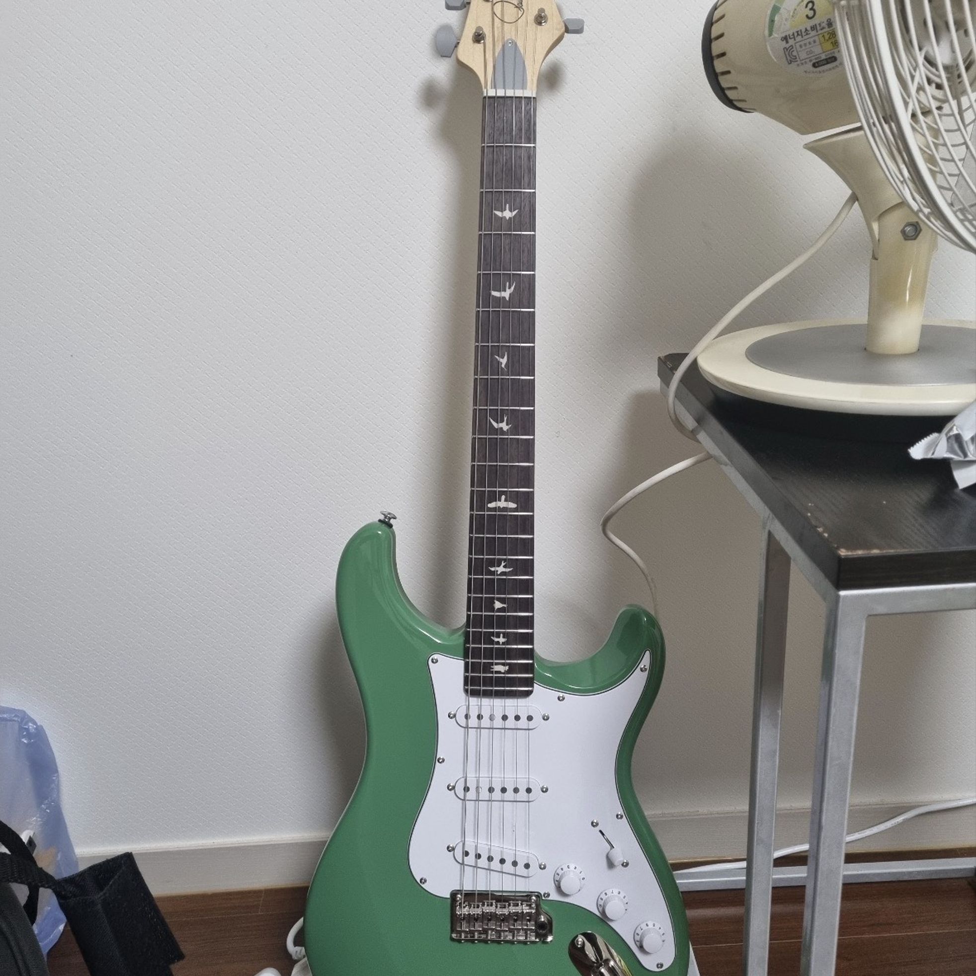 PRS Guitars-SE Silver Sky-1