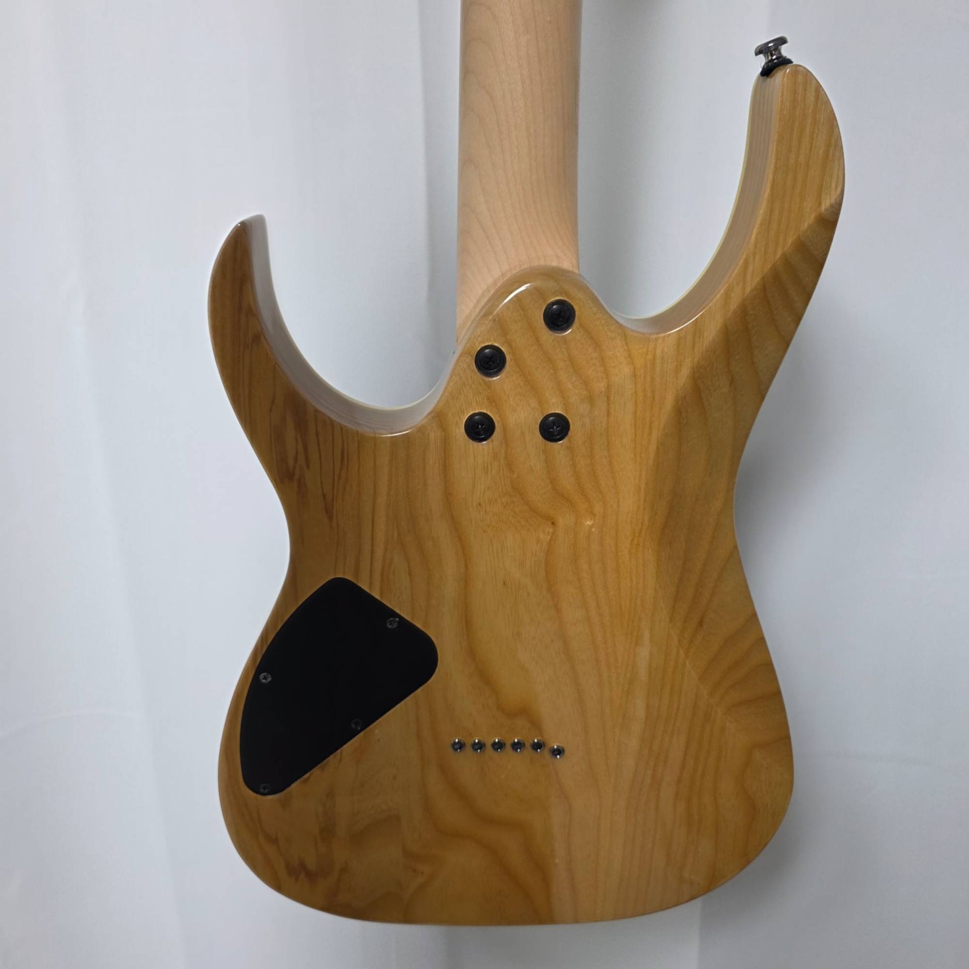 Ibanez-RG421-6