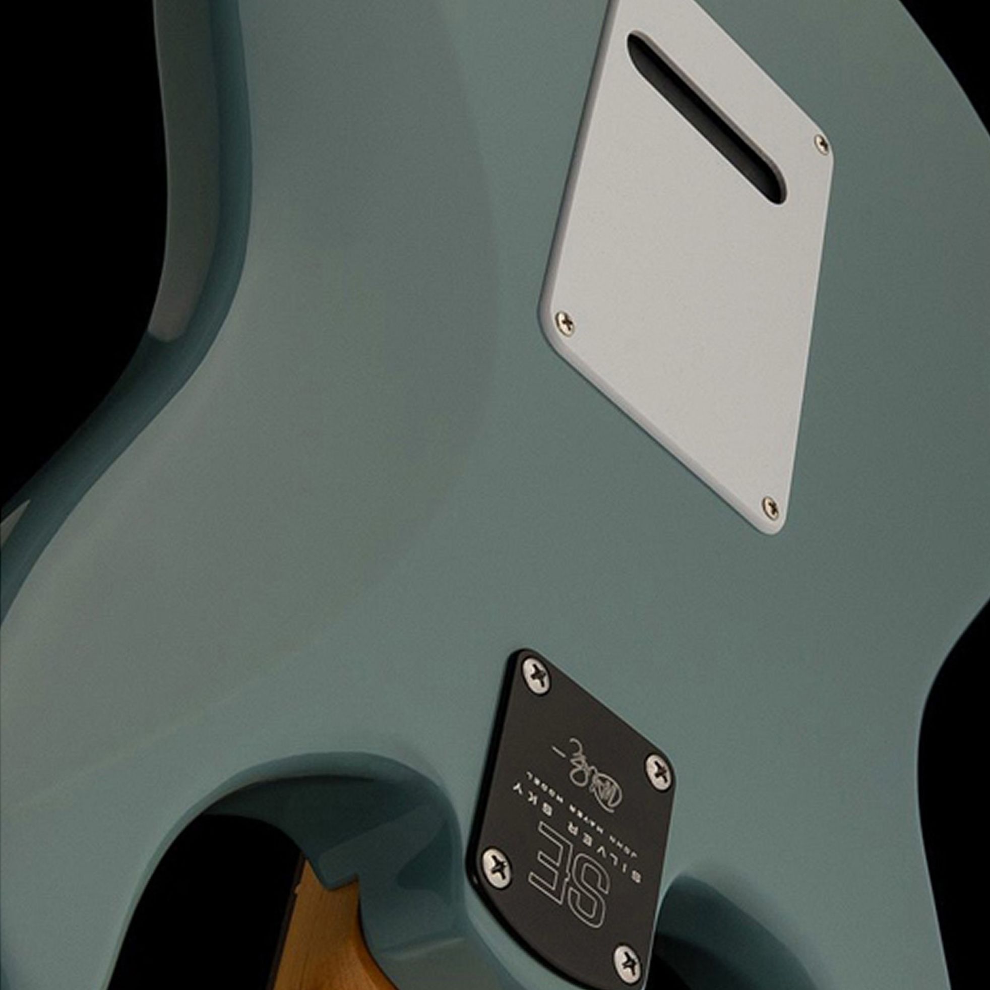 PRS Guitars-SE Silver Sky-3