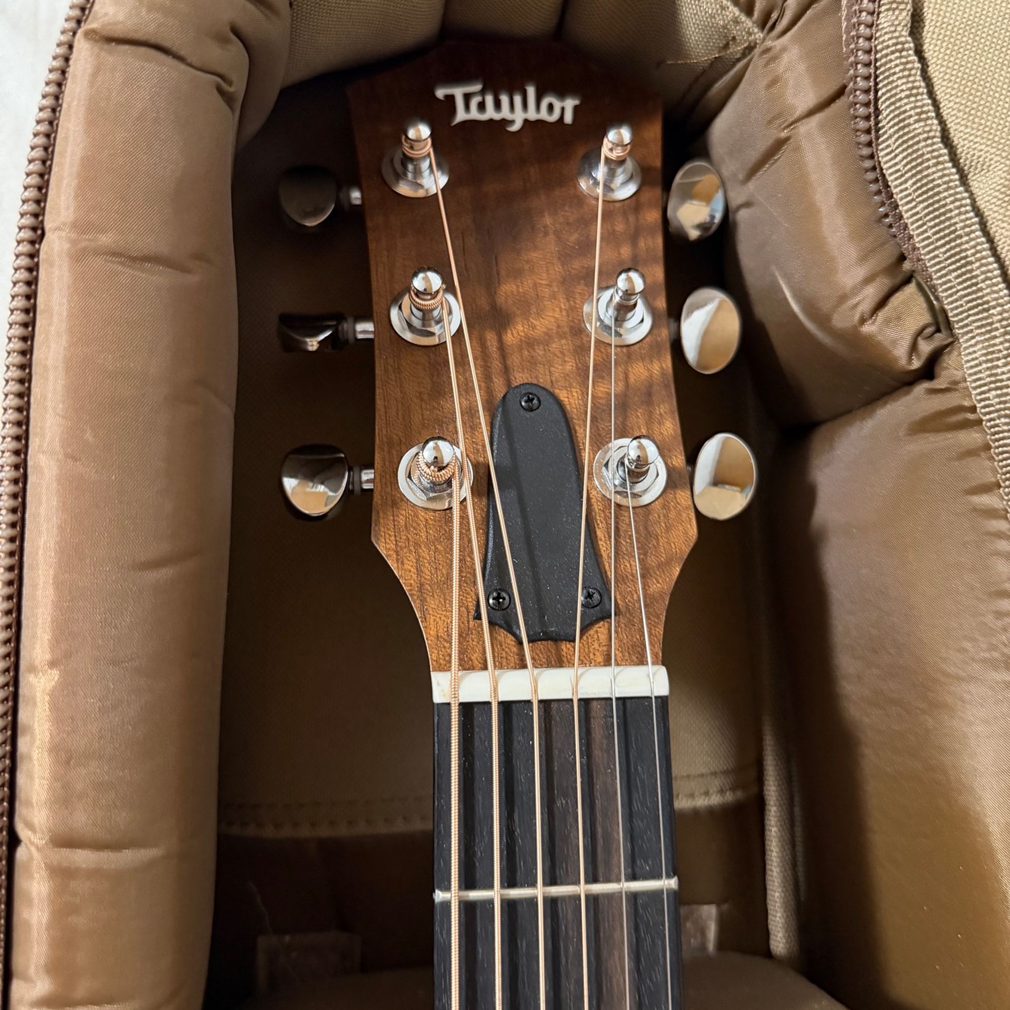 Taylor-GS Mini-e-6