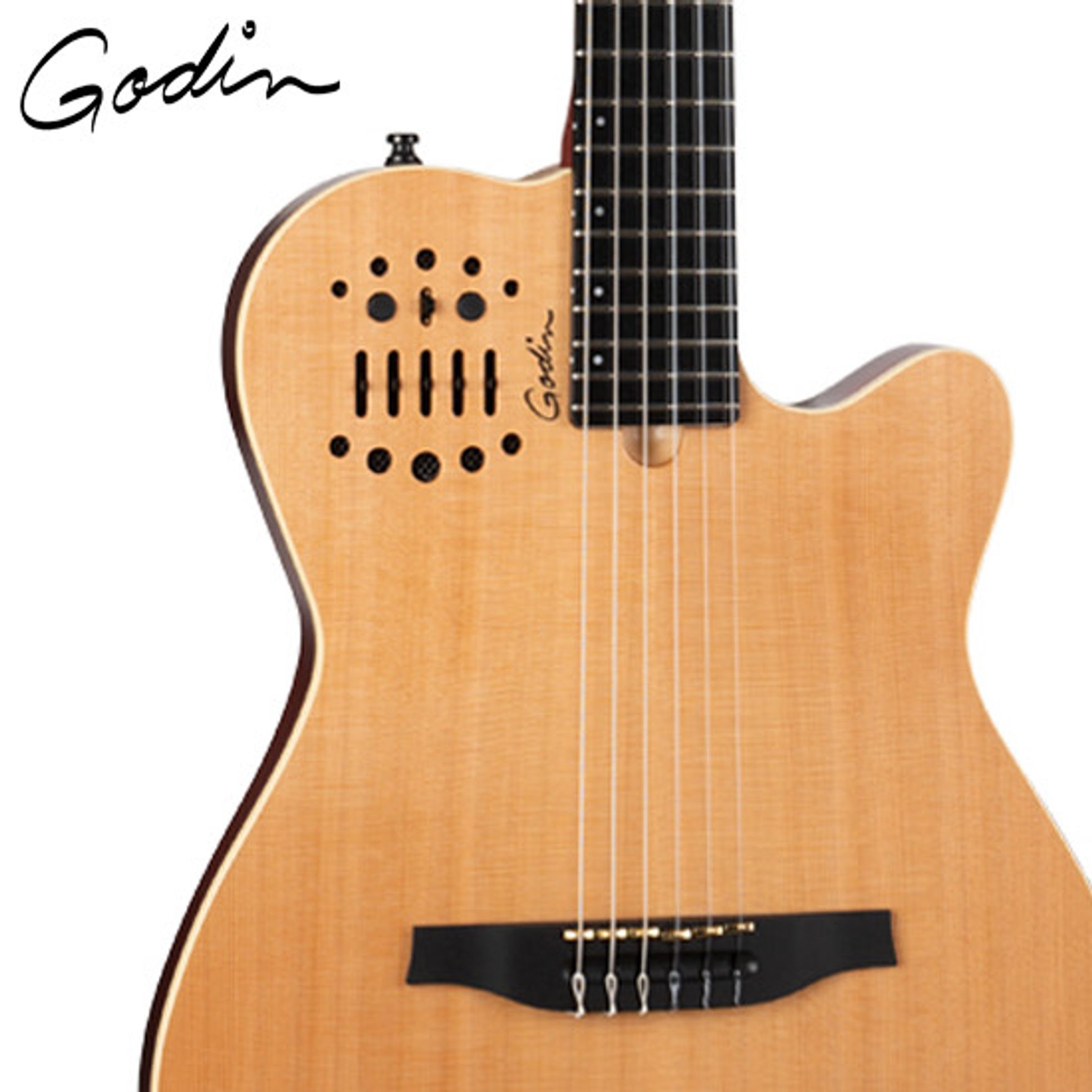Godin-Multiac ACS Nylon-2