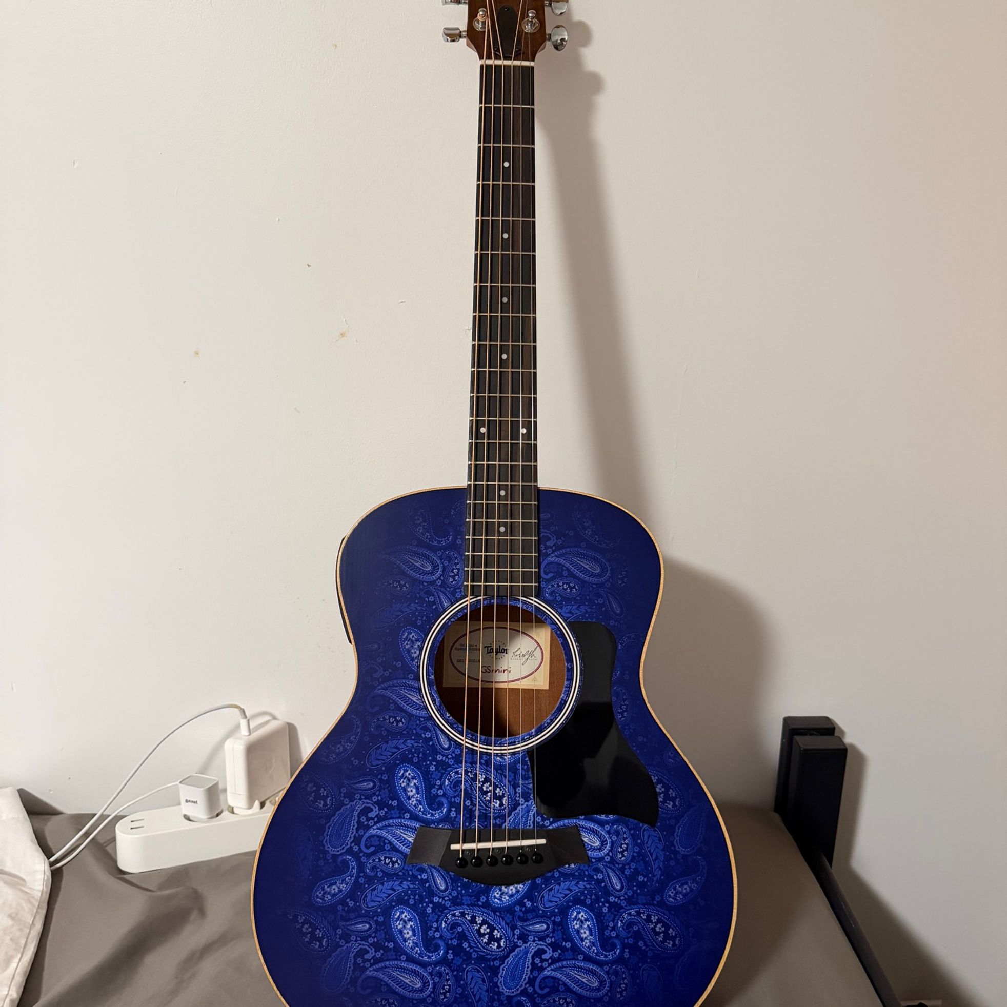 Taylor-GS Mini-e-1