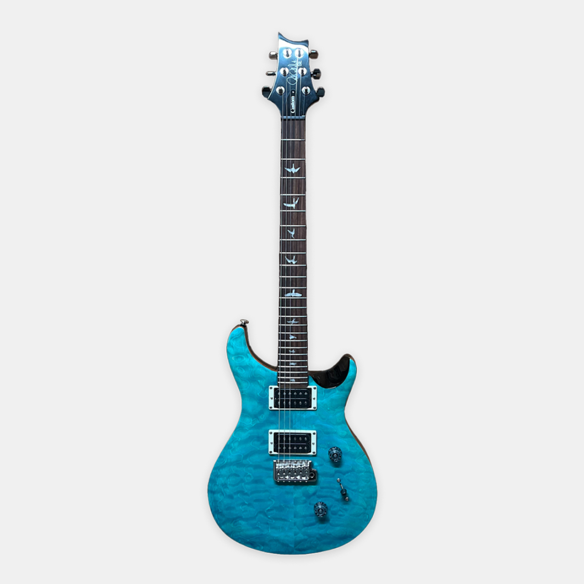 PRS Guitars-SE Custom 24-1