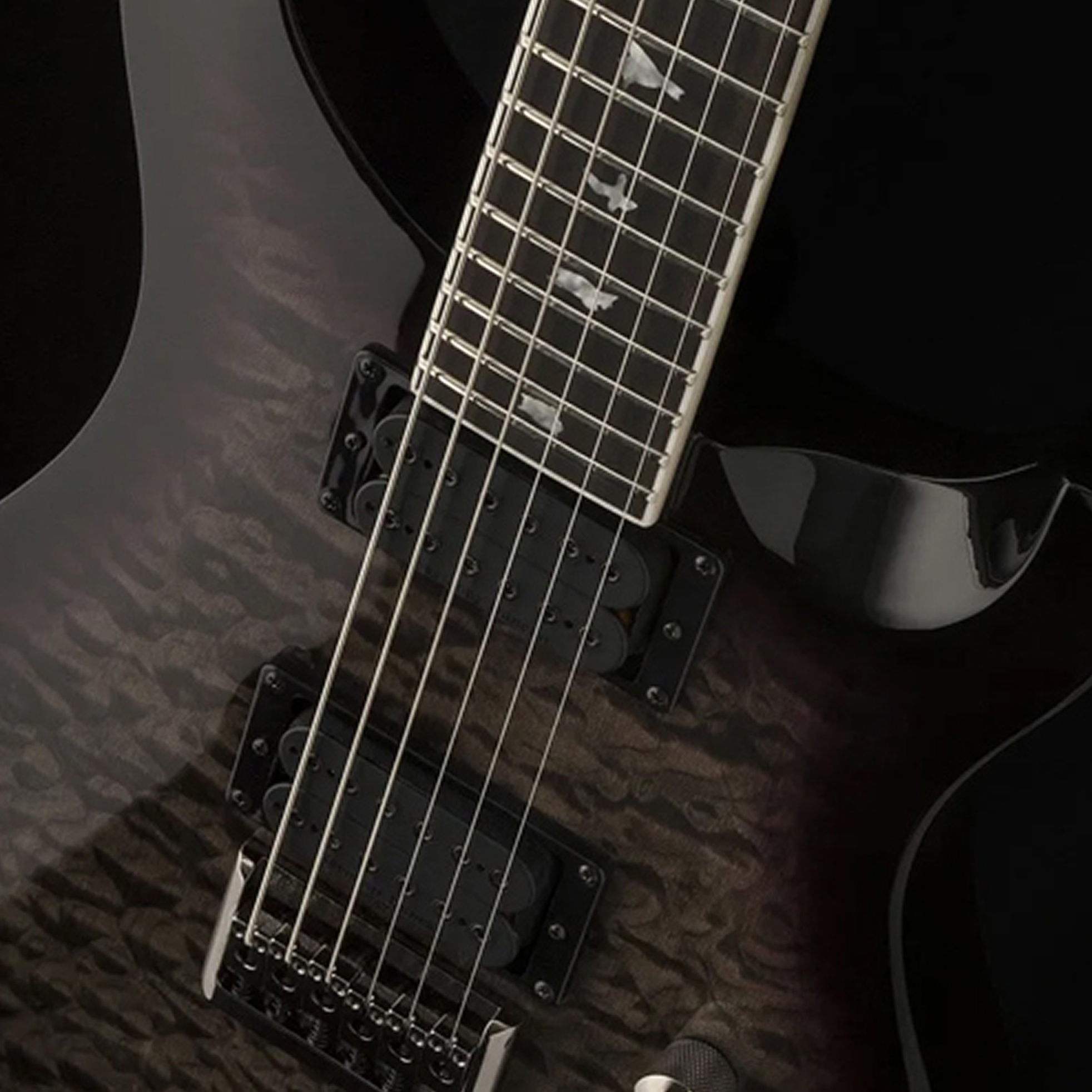 PRS Guitars-SE Mark Holcomb Signature-2