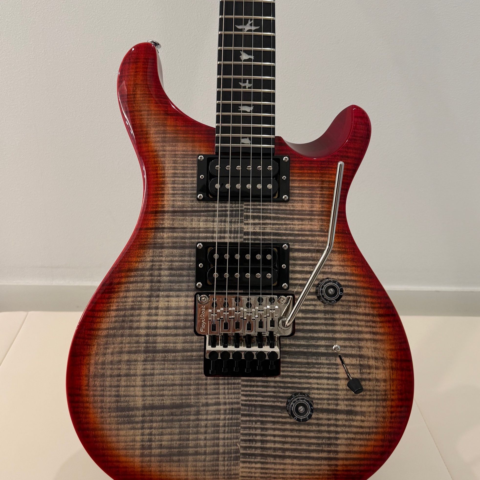 PRS Guitars-SE Custom 24-2