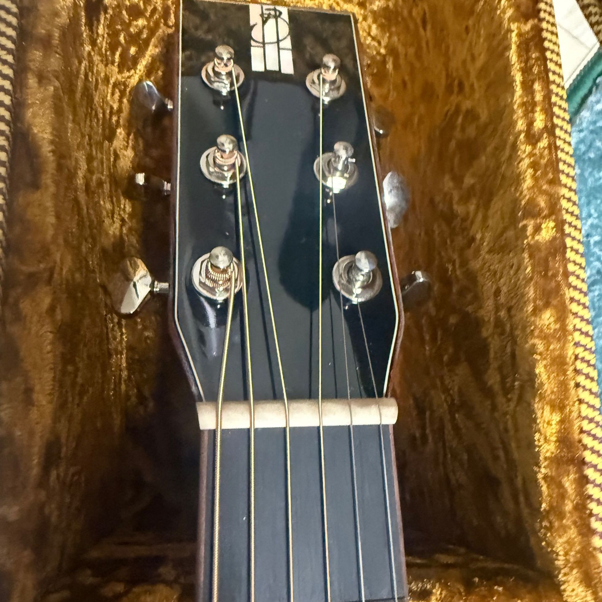 Bentivoglio-OM7R-5
