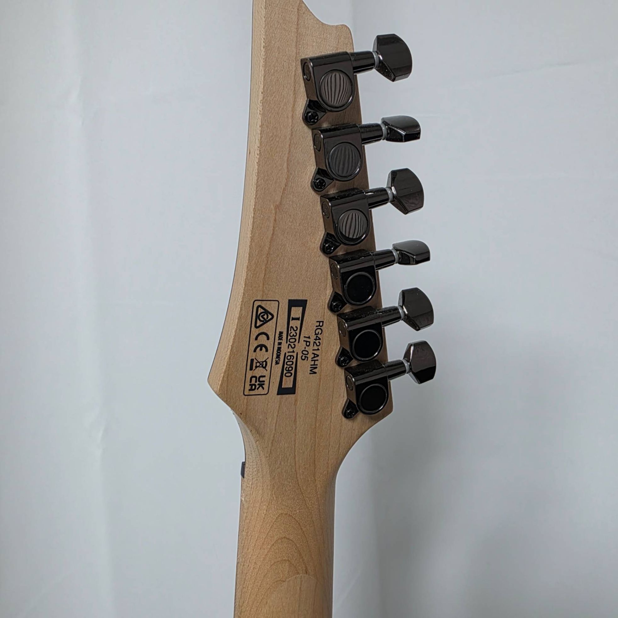 Ibanez-RG421-5