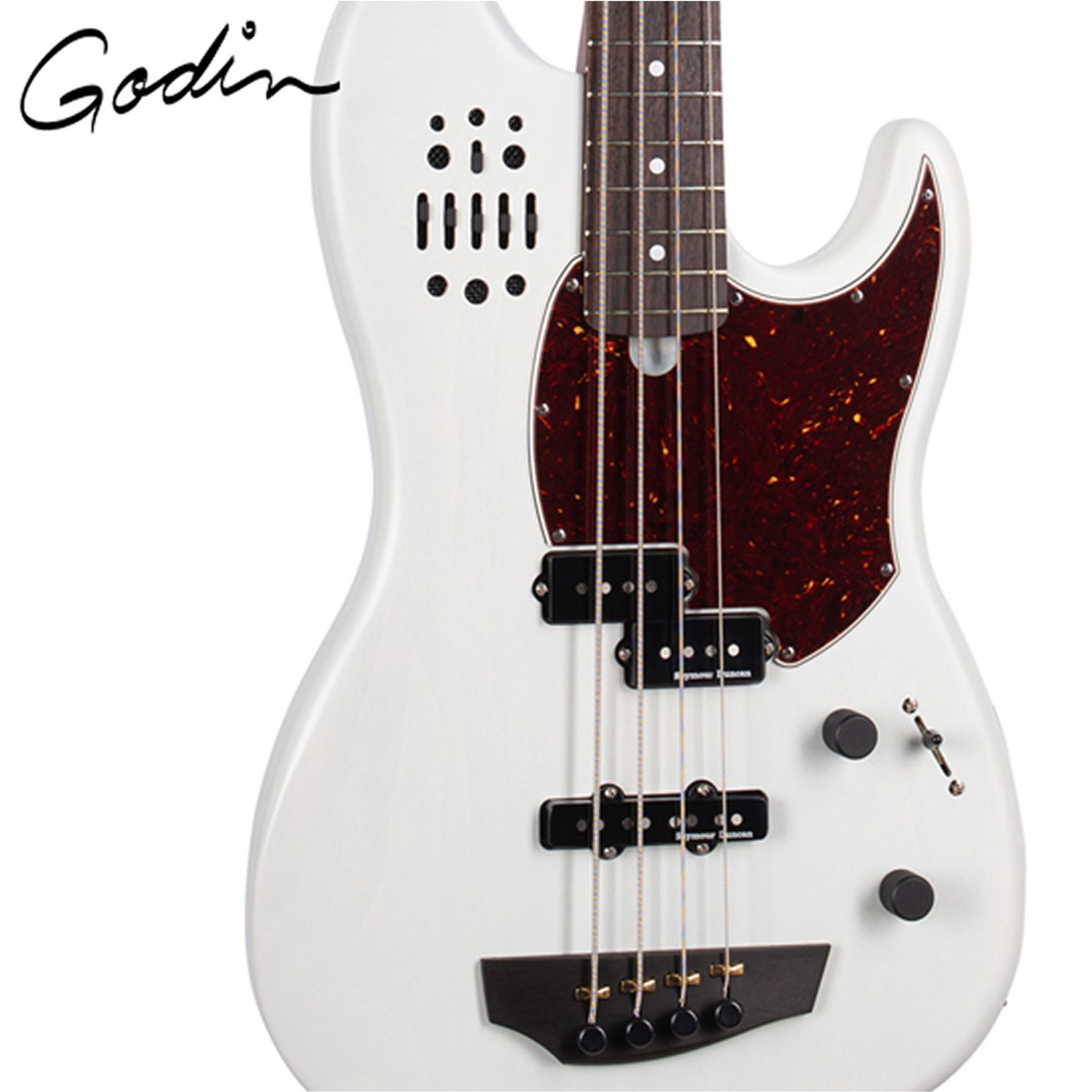Godin-RG-4 Ultra-2