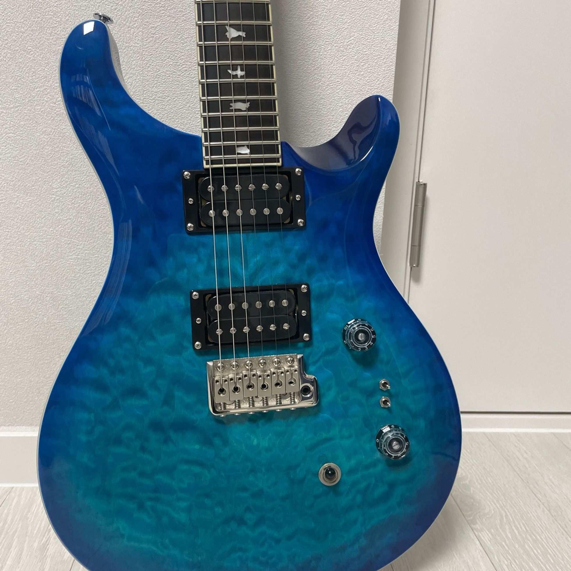 PRS Guitars-SE Custom 24-2