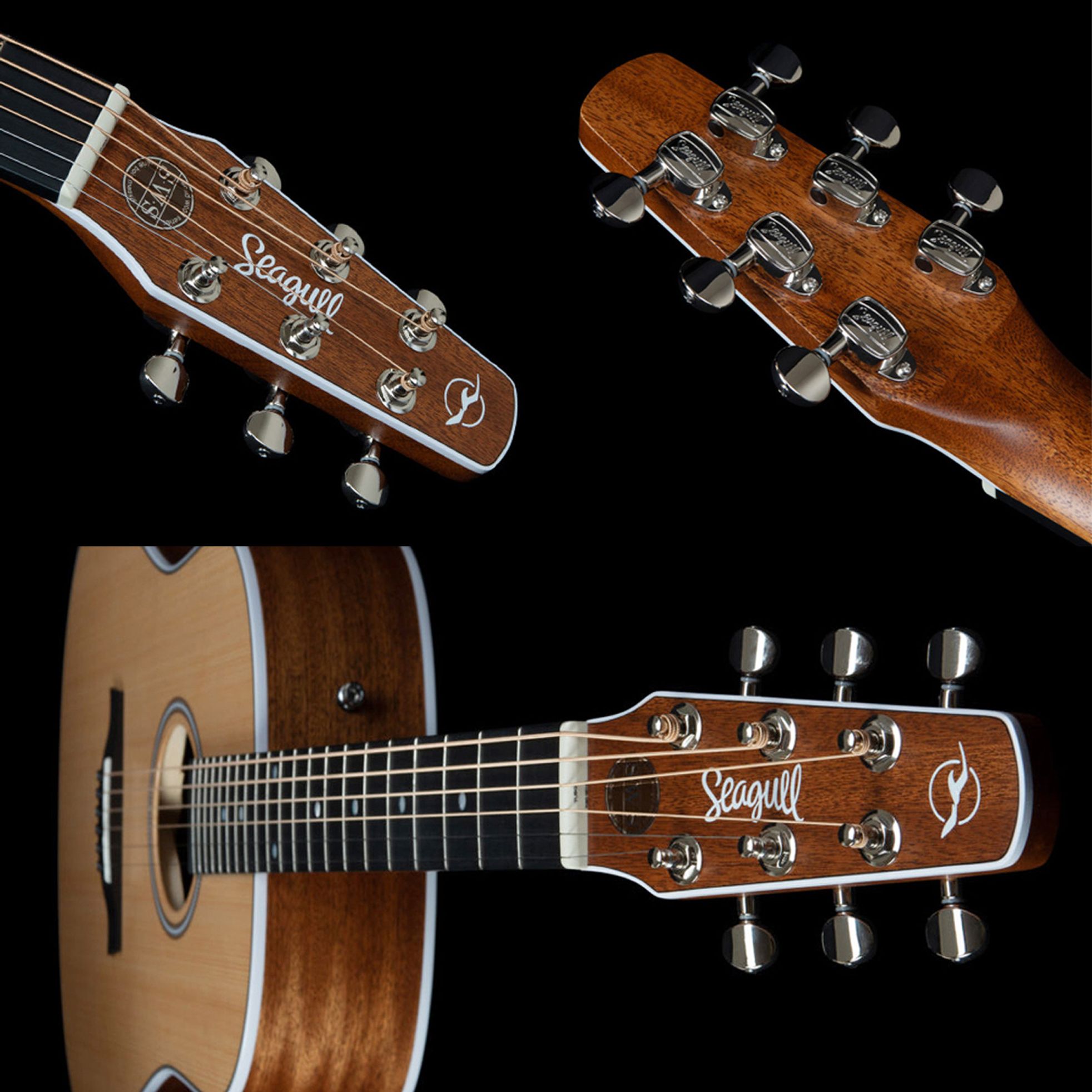 Seagull-Maritime SWS Dreadnought-3