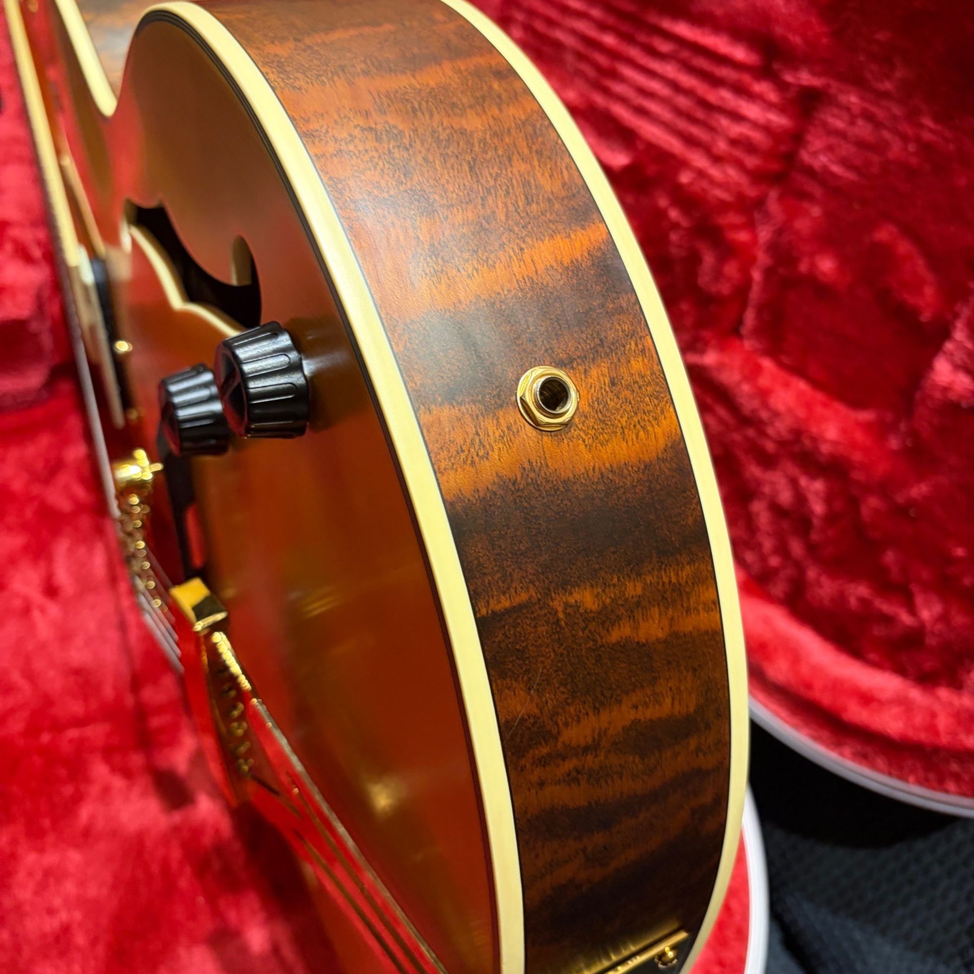 Ibanez-null-8