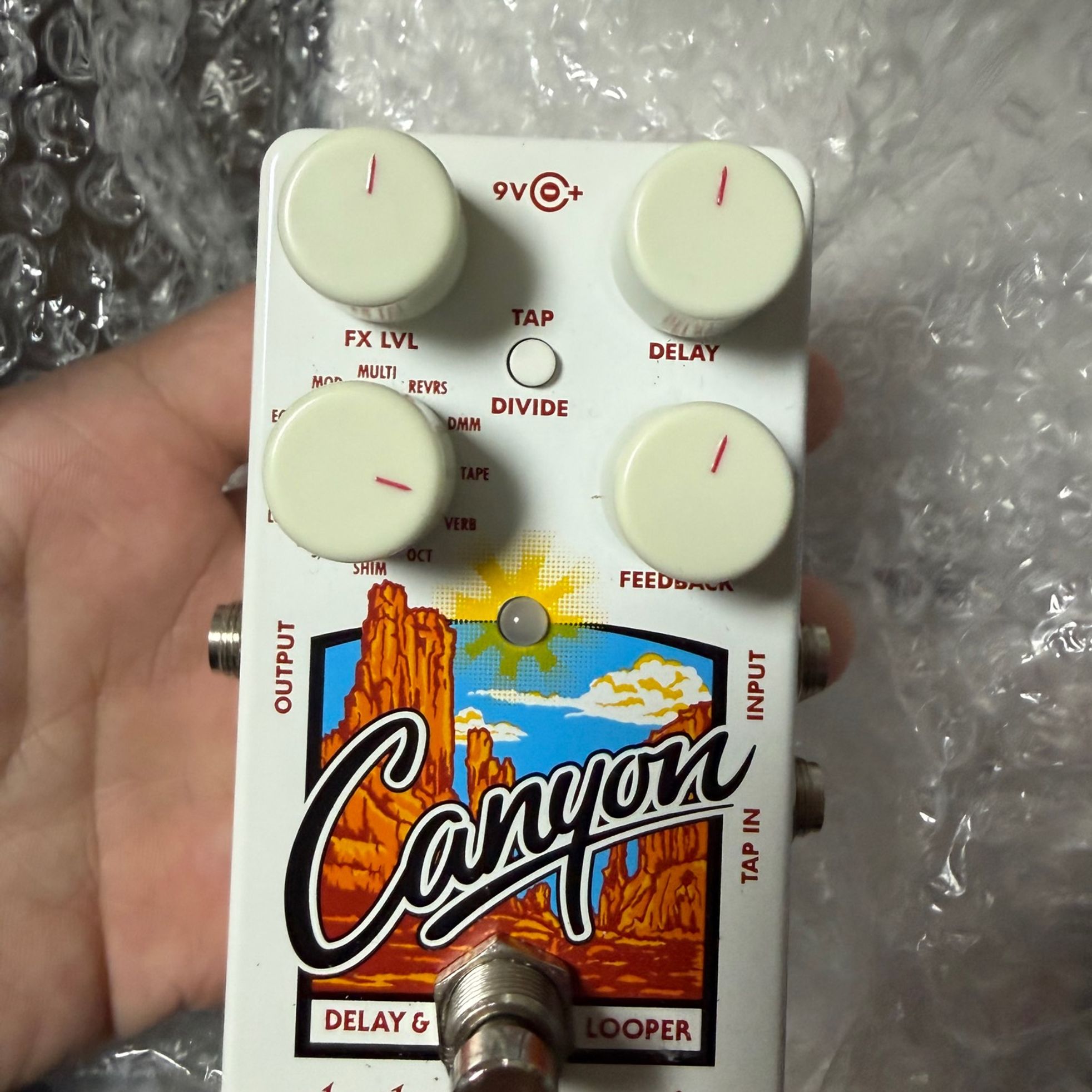 Electro-Harmonix-Canyon-1