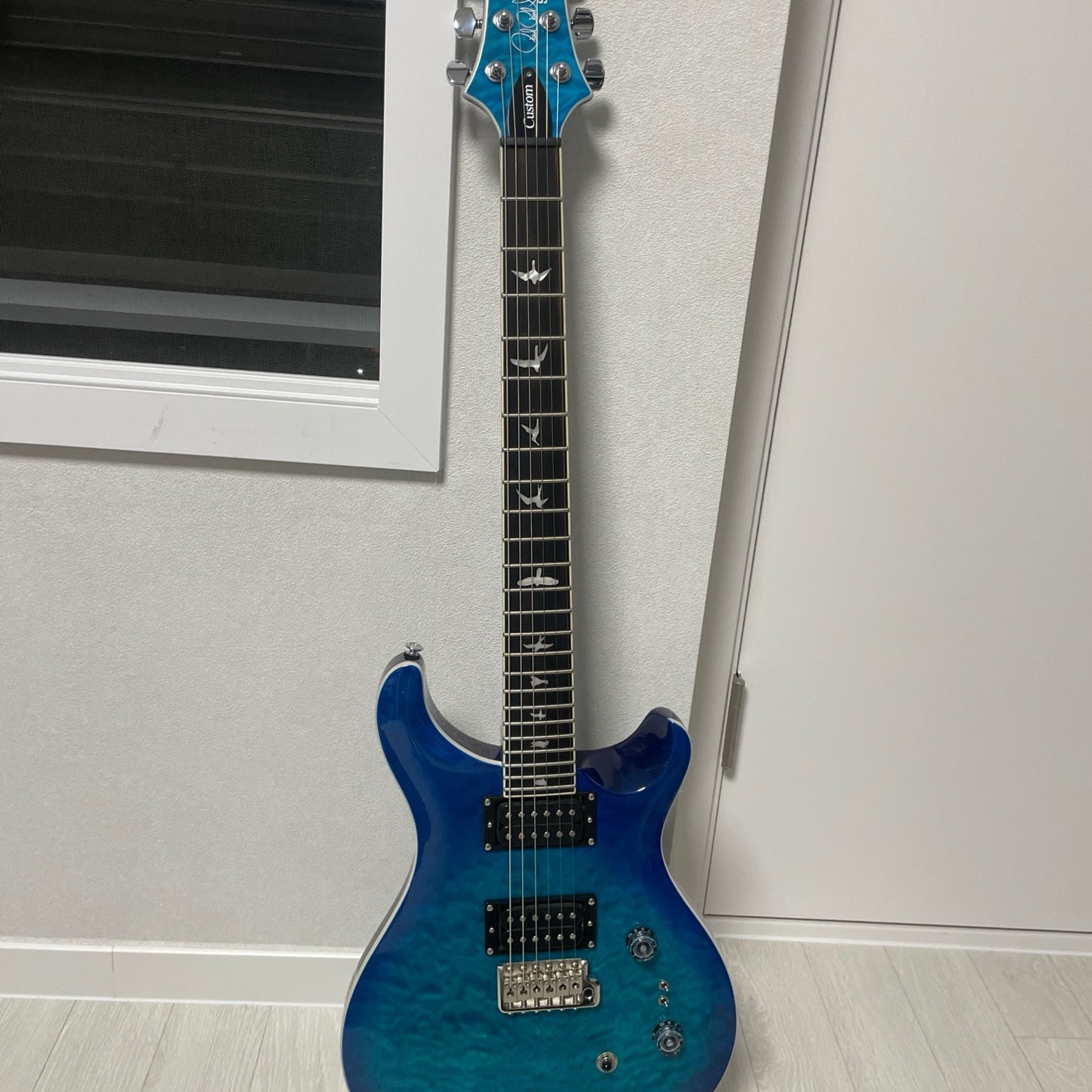 PRS Guitars-SE Custom 24-1