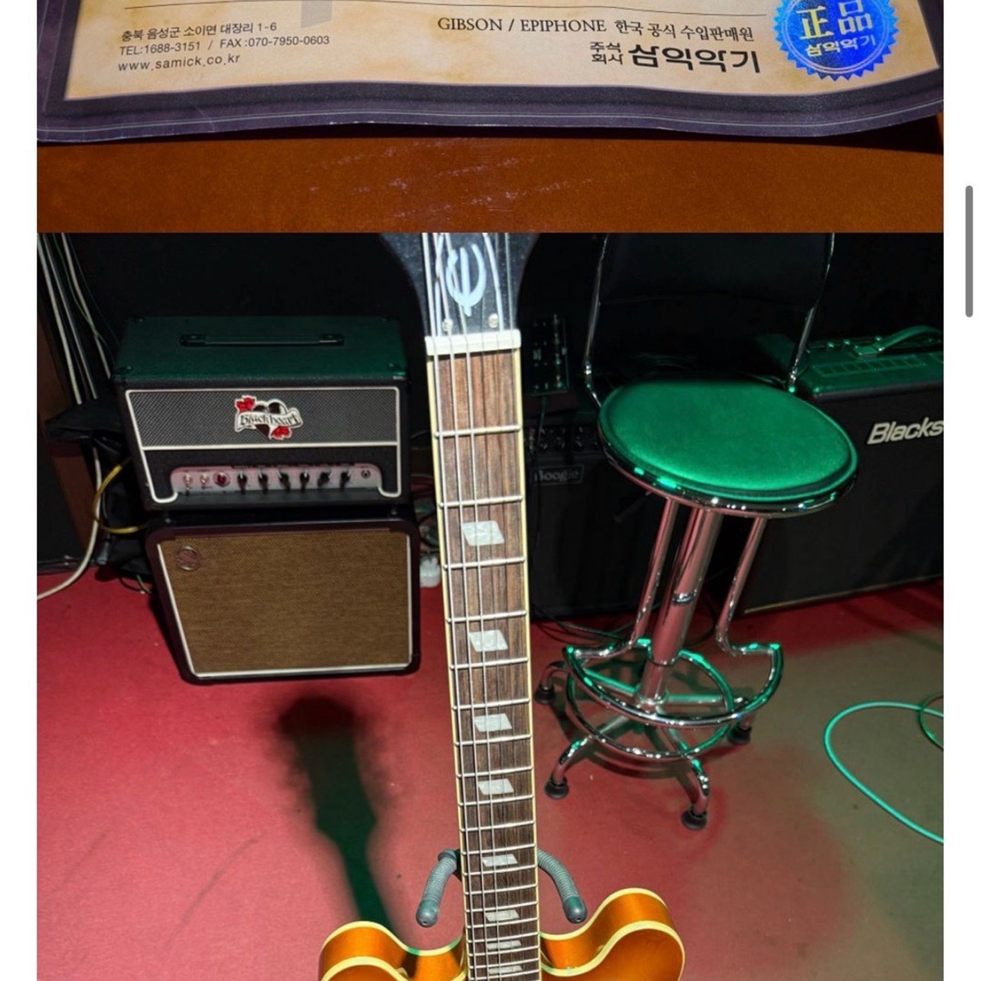 Epiphone-Riviera-6