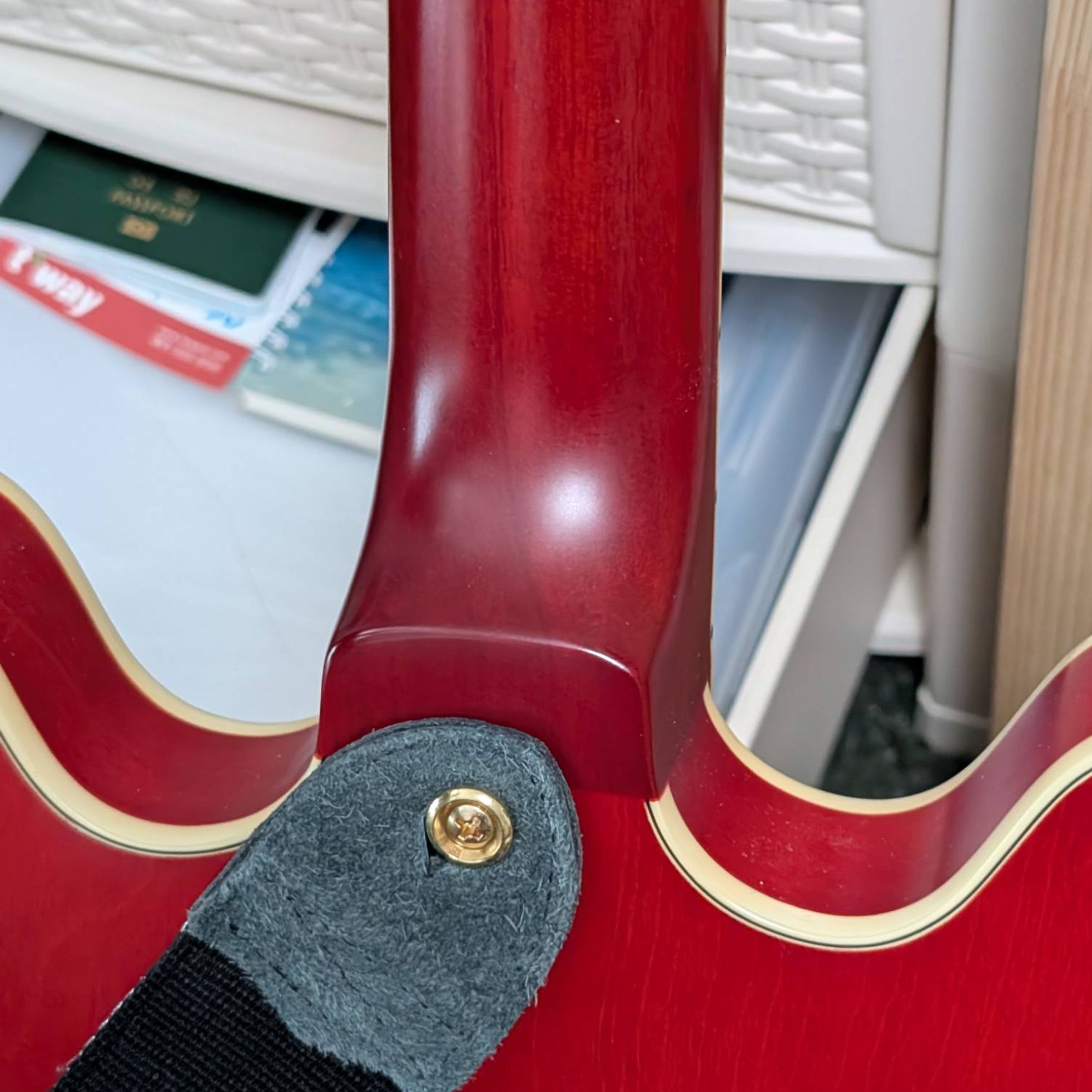 Epiphone-ES-355-5