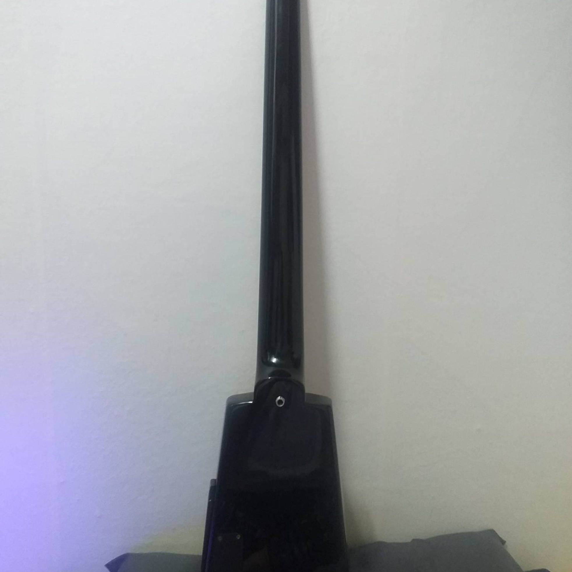 Steinberger--2