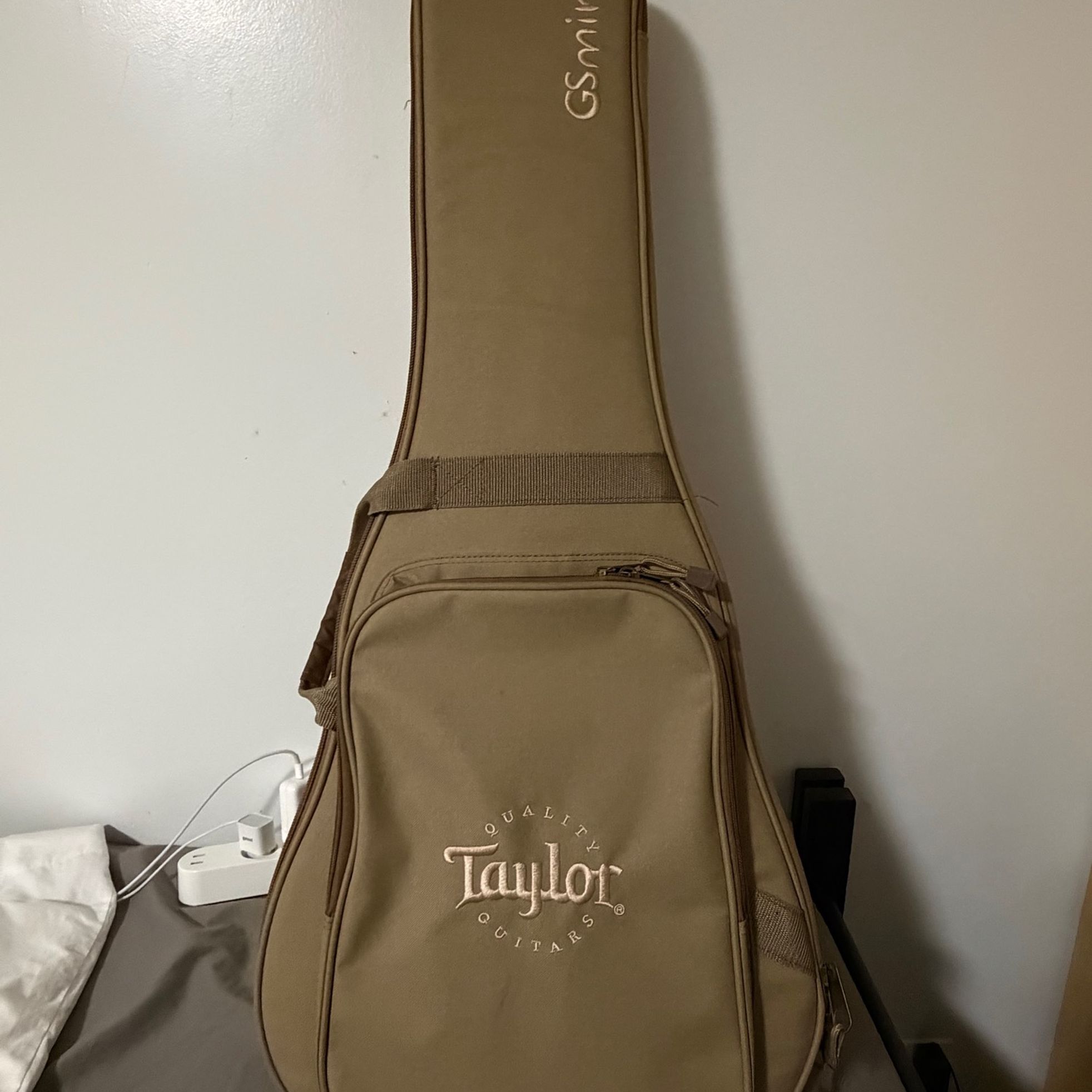 Taylor-GS Mini-e-8