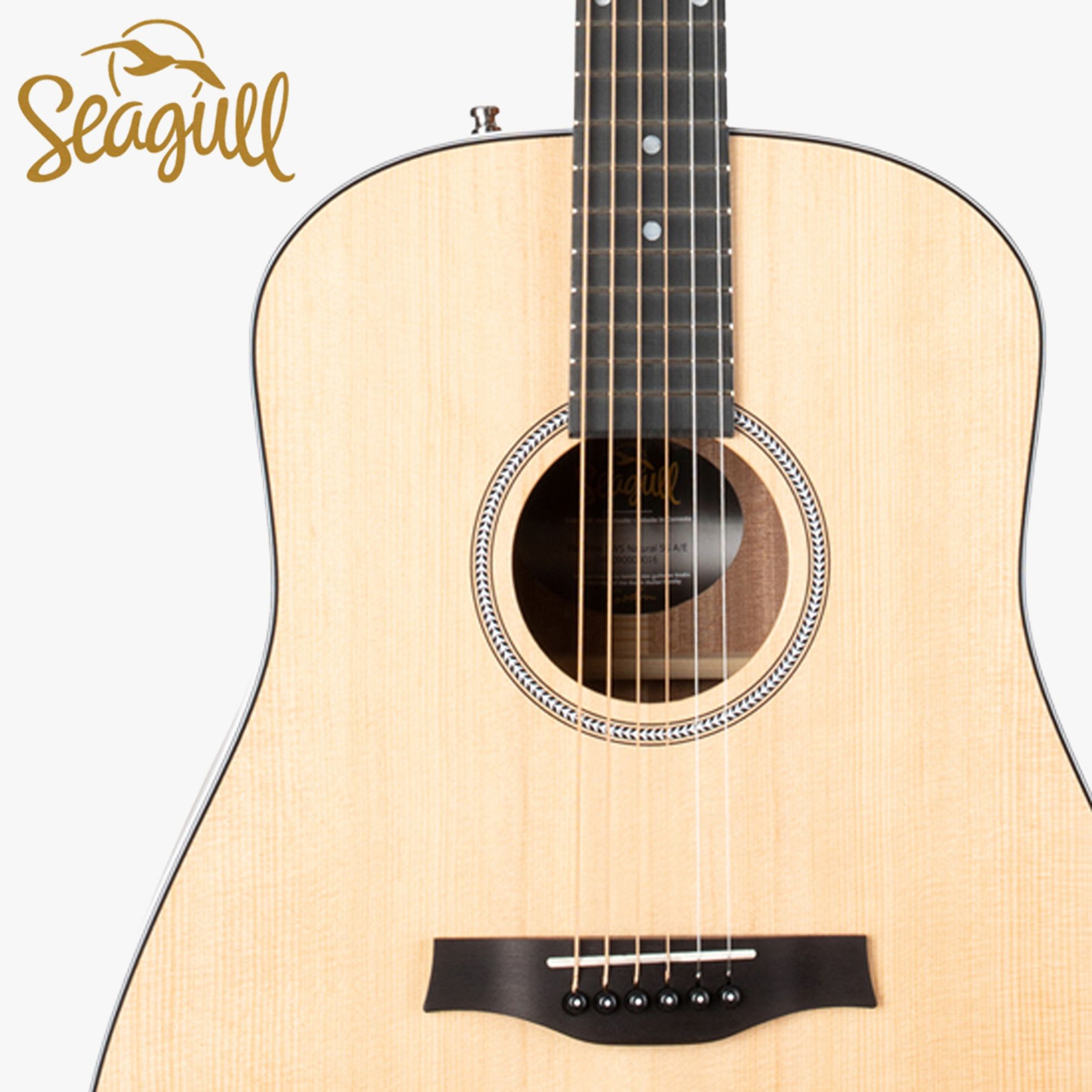 Seagull-Maritime SWS Dreadnought-2