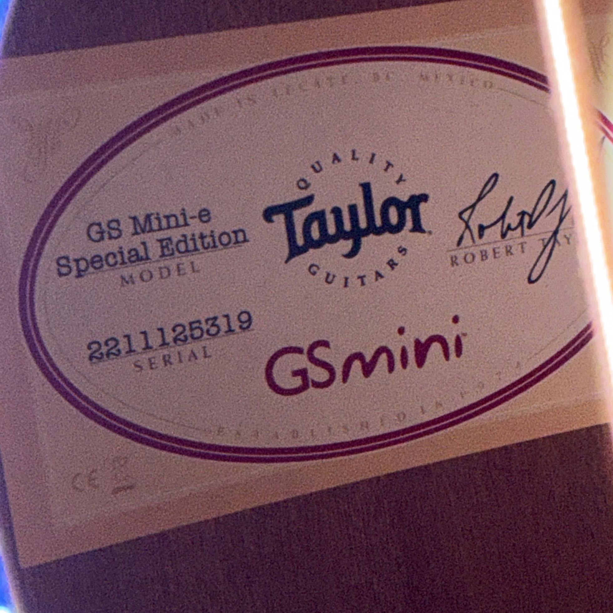 Taylor-GS Mini-e-7