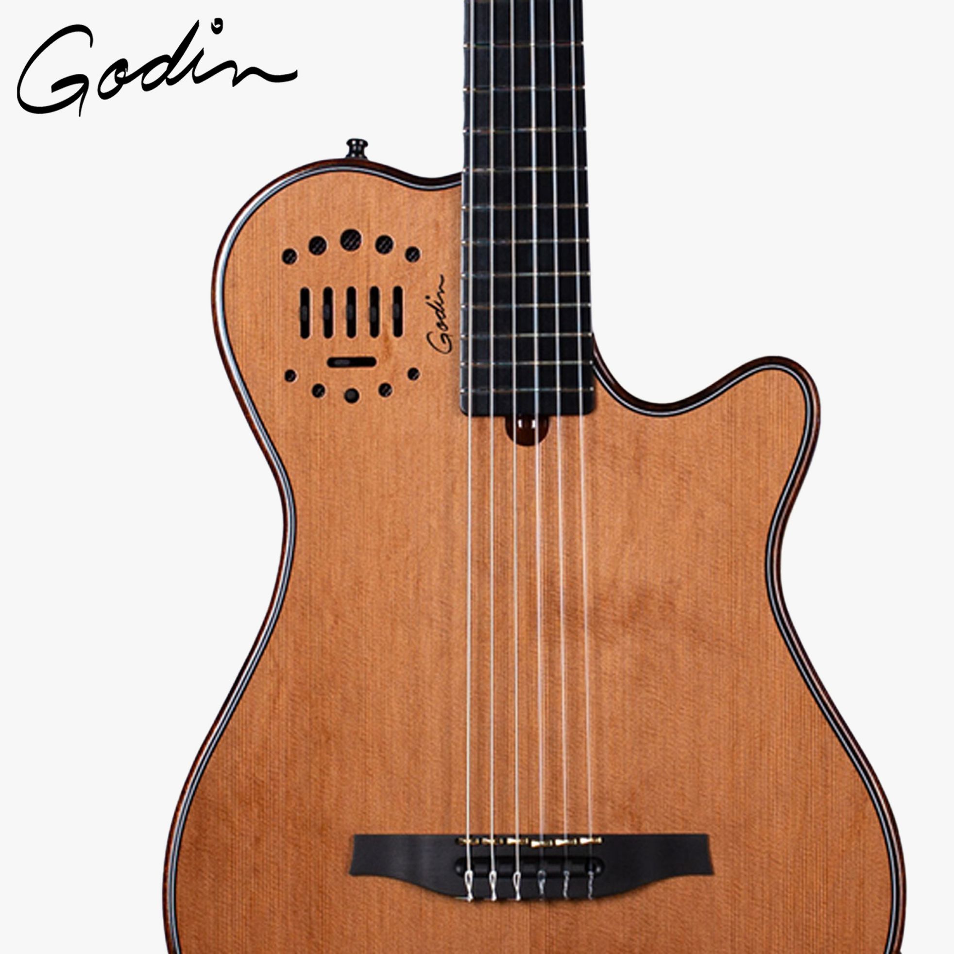 Godin-Multiac Mundial Grand Concert-2