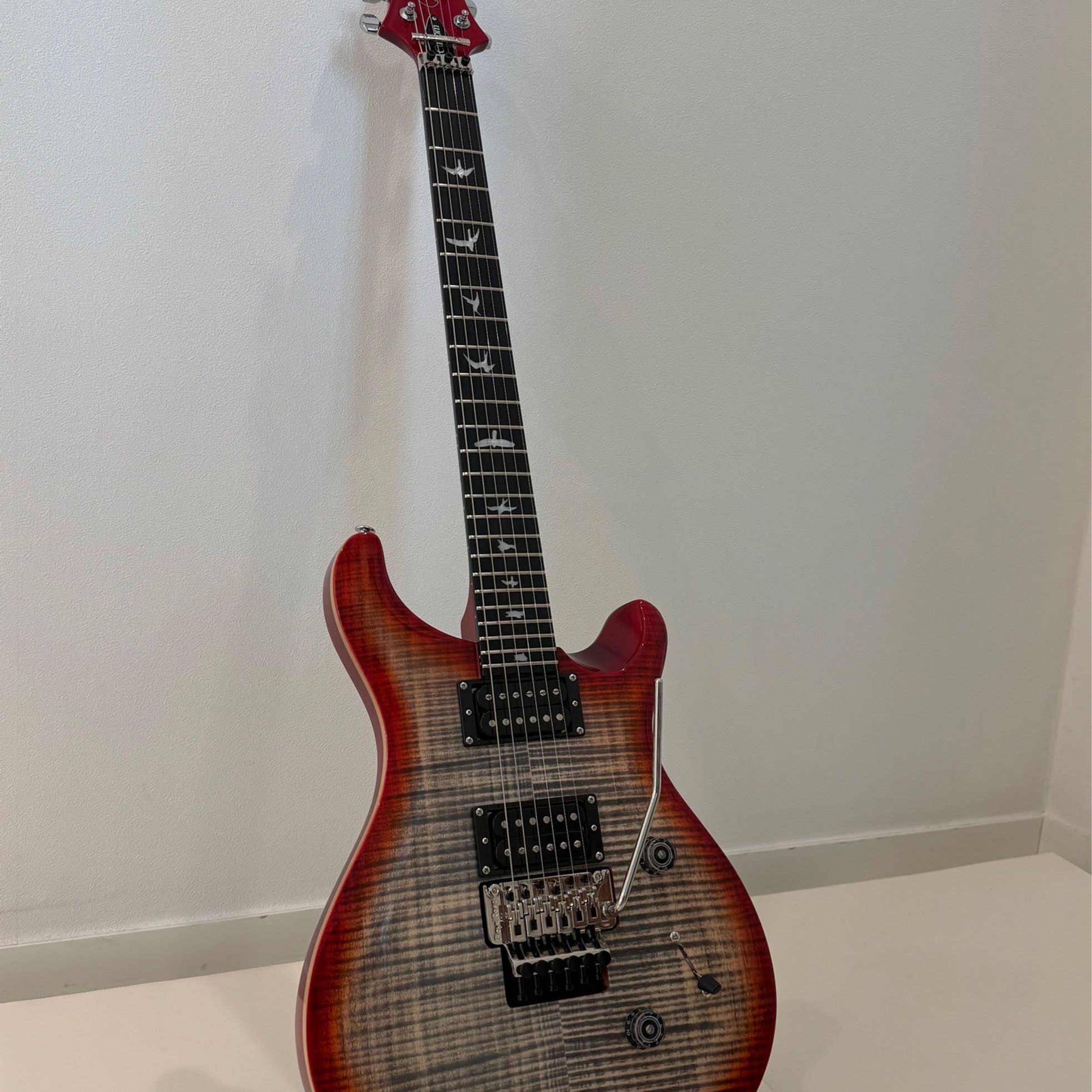 PRS Guitars-SE Custom 24-1