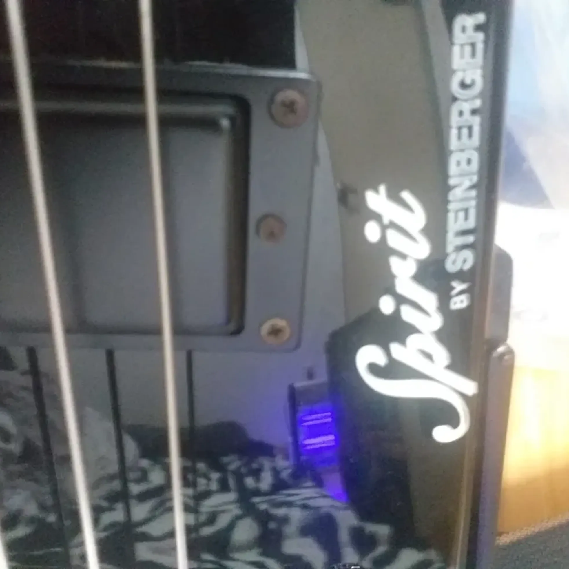 Steinberger--4