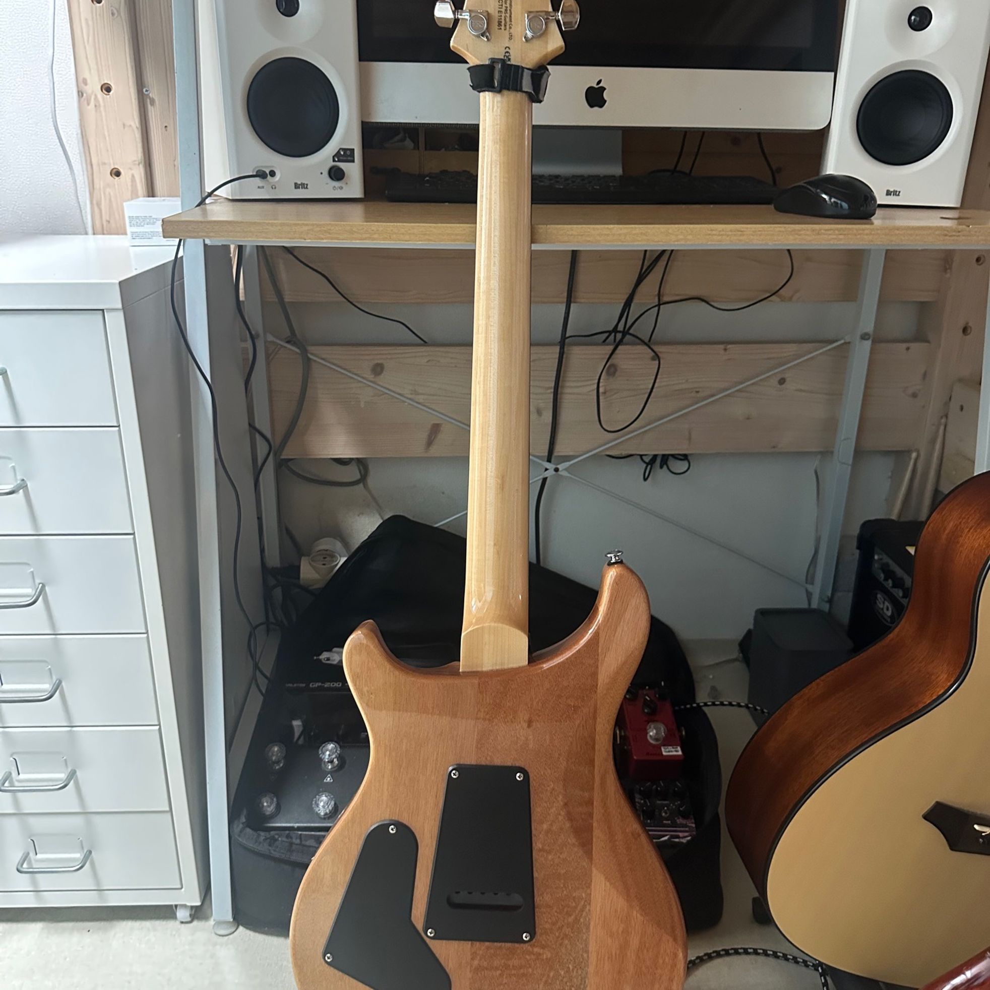 PRS Guitars-SE Custom 24-3