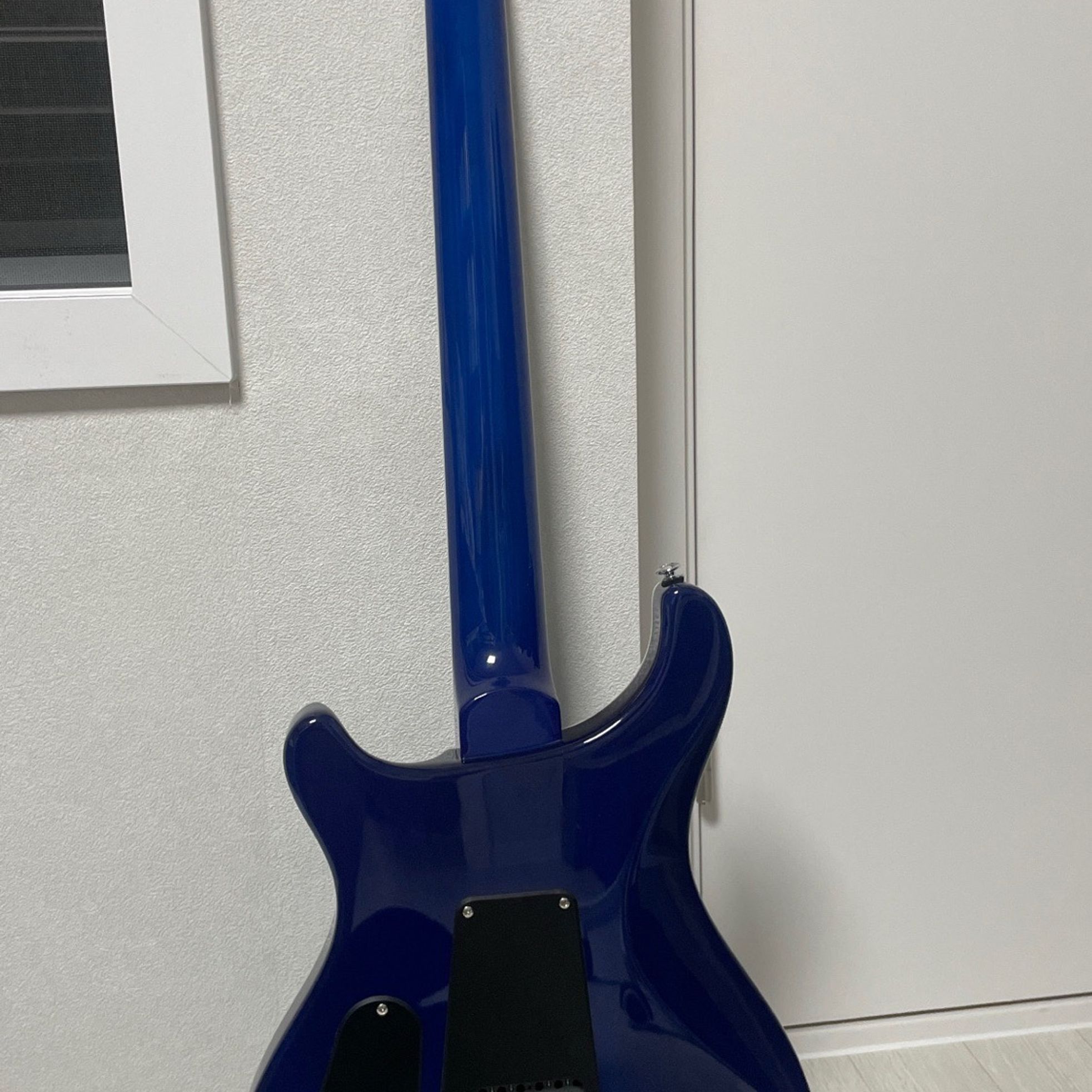 PRS Guitars-SE Custom 24-4