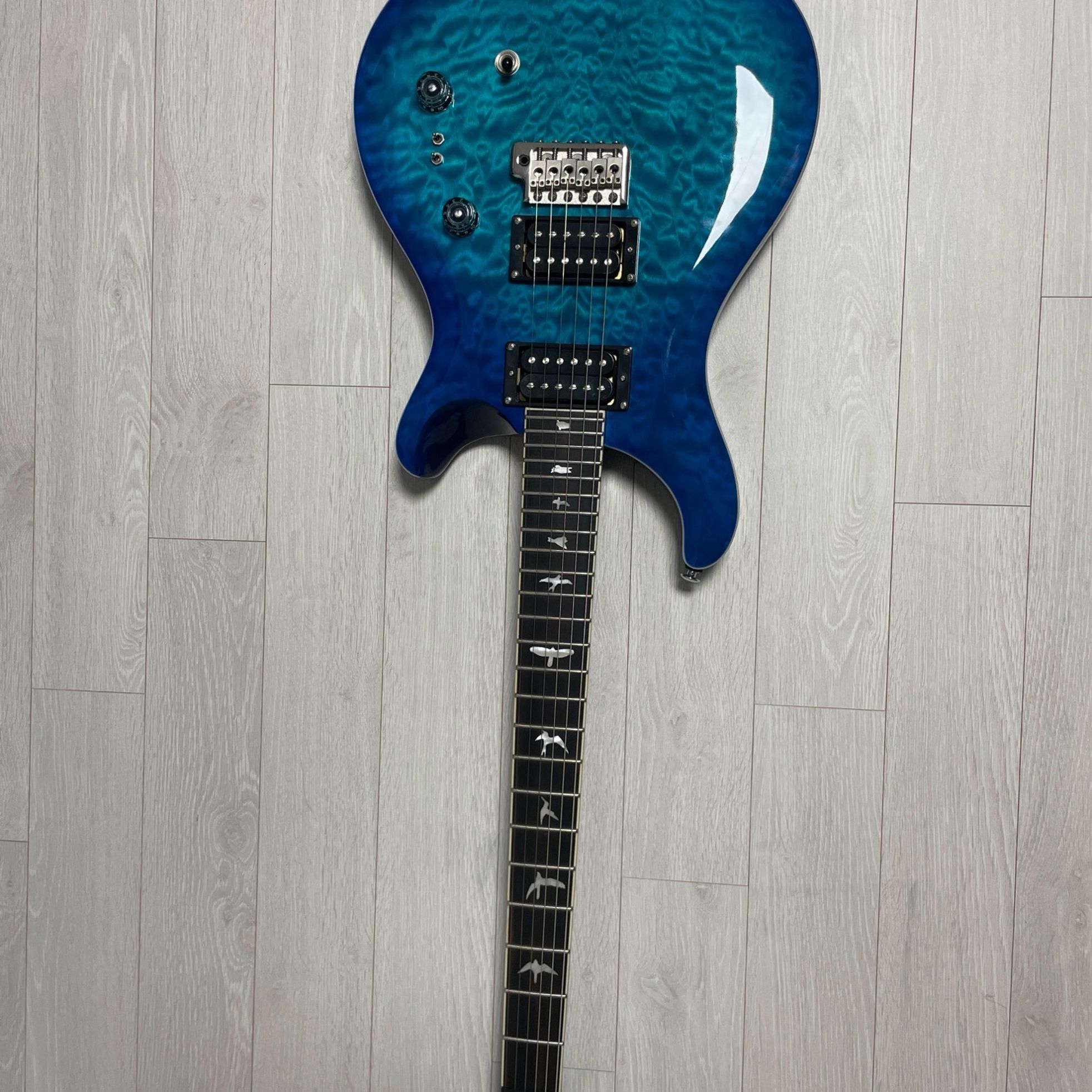 PRS Guitars-SE Custom 24-3