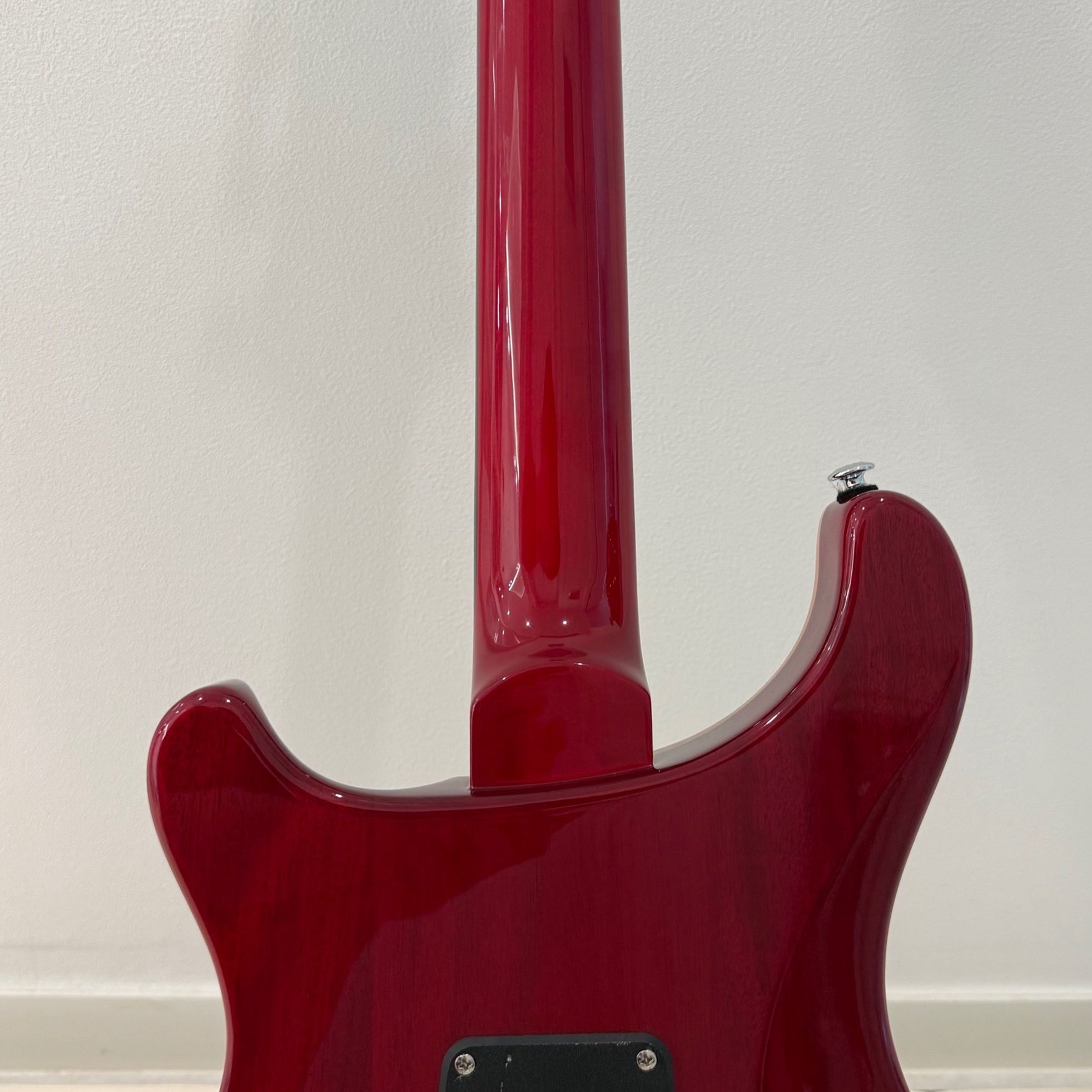 PRS Guitars-SE Custom 24-6