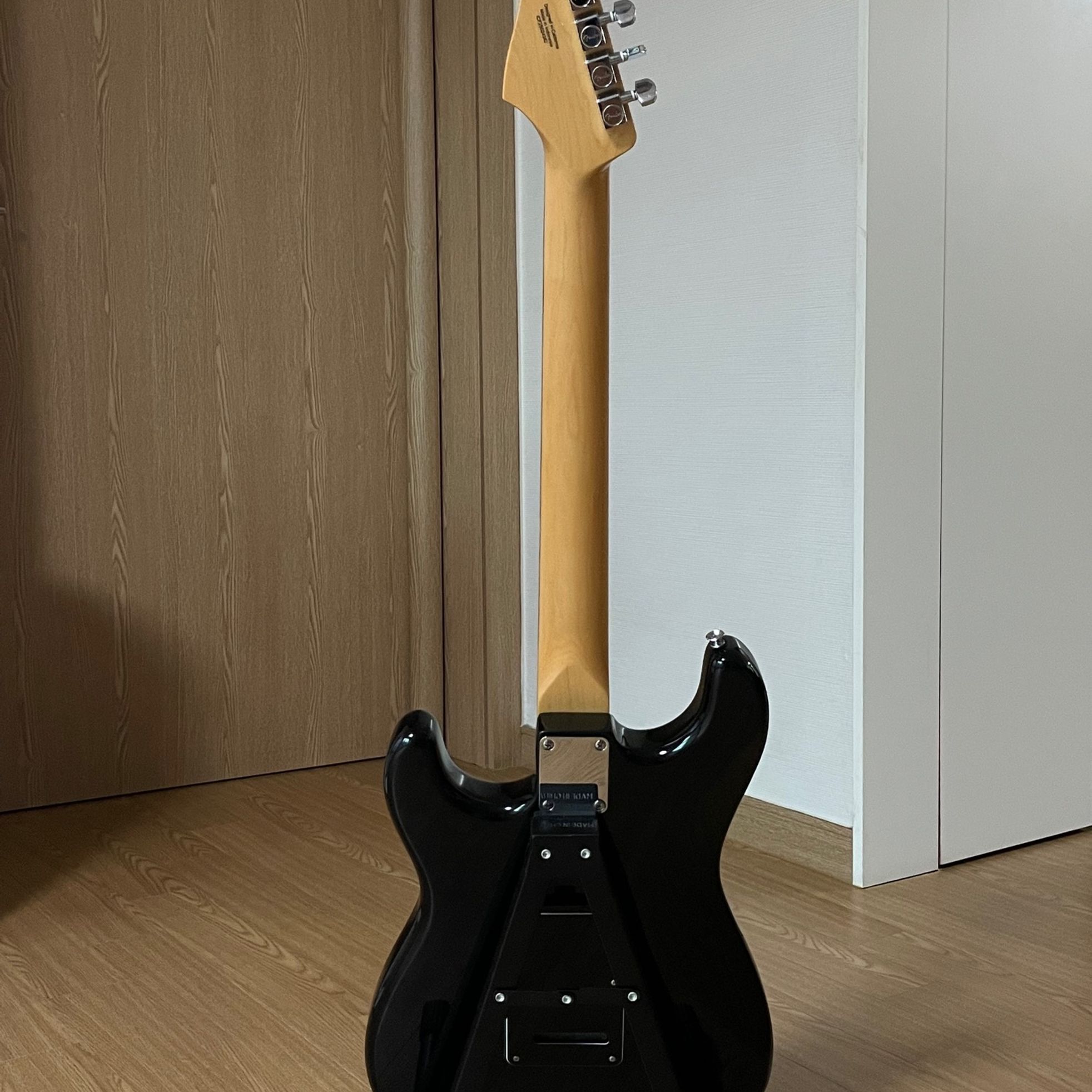 Fender-Stratocaster-2