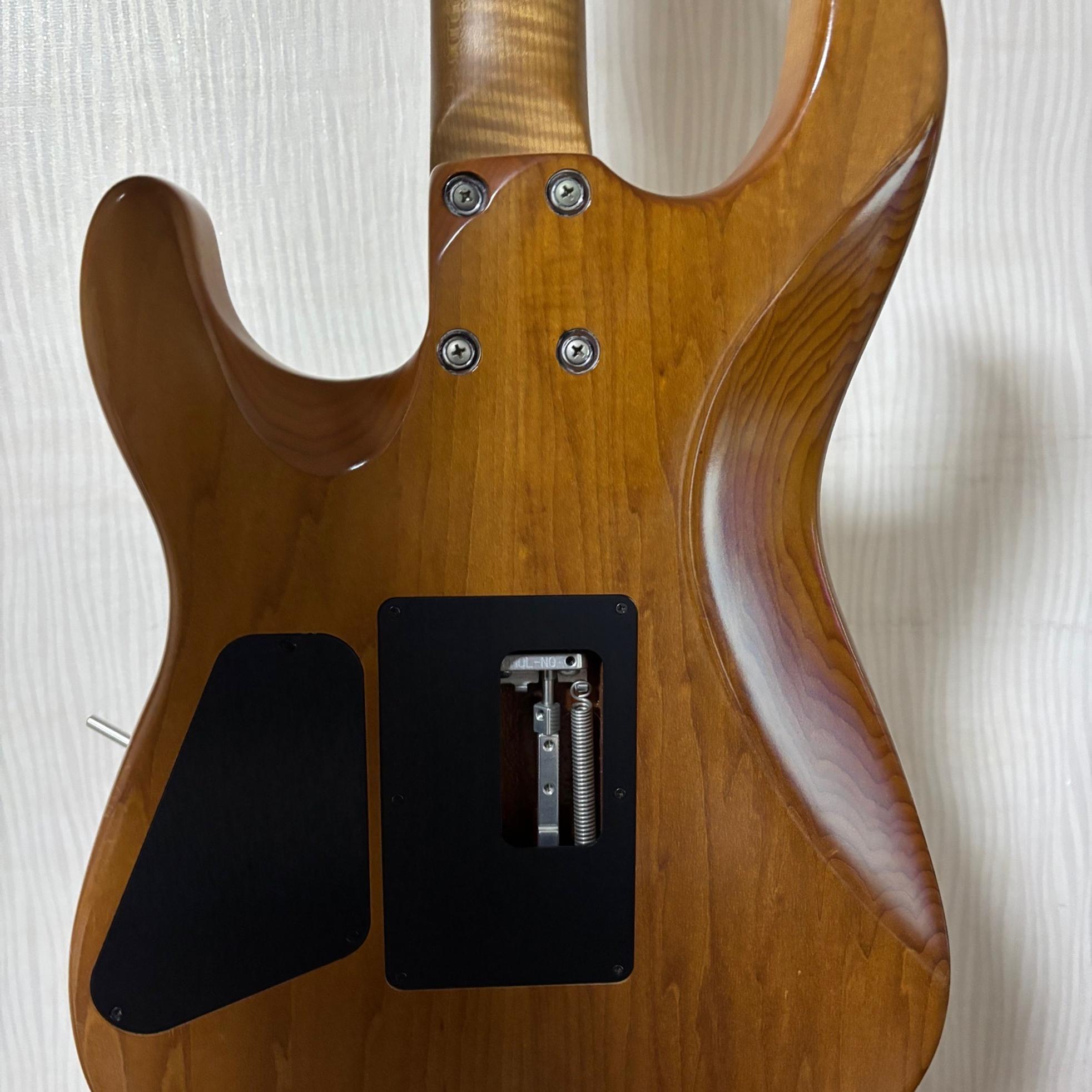 Charvel chavel guthrie govan sig 사진 2