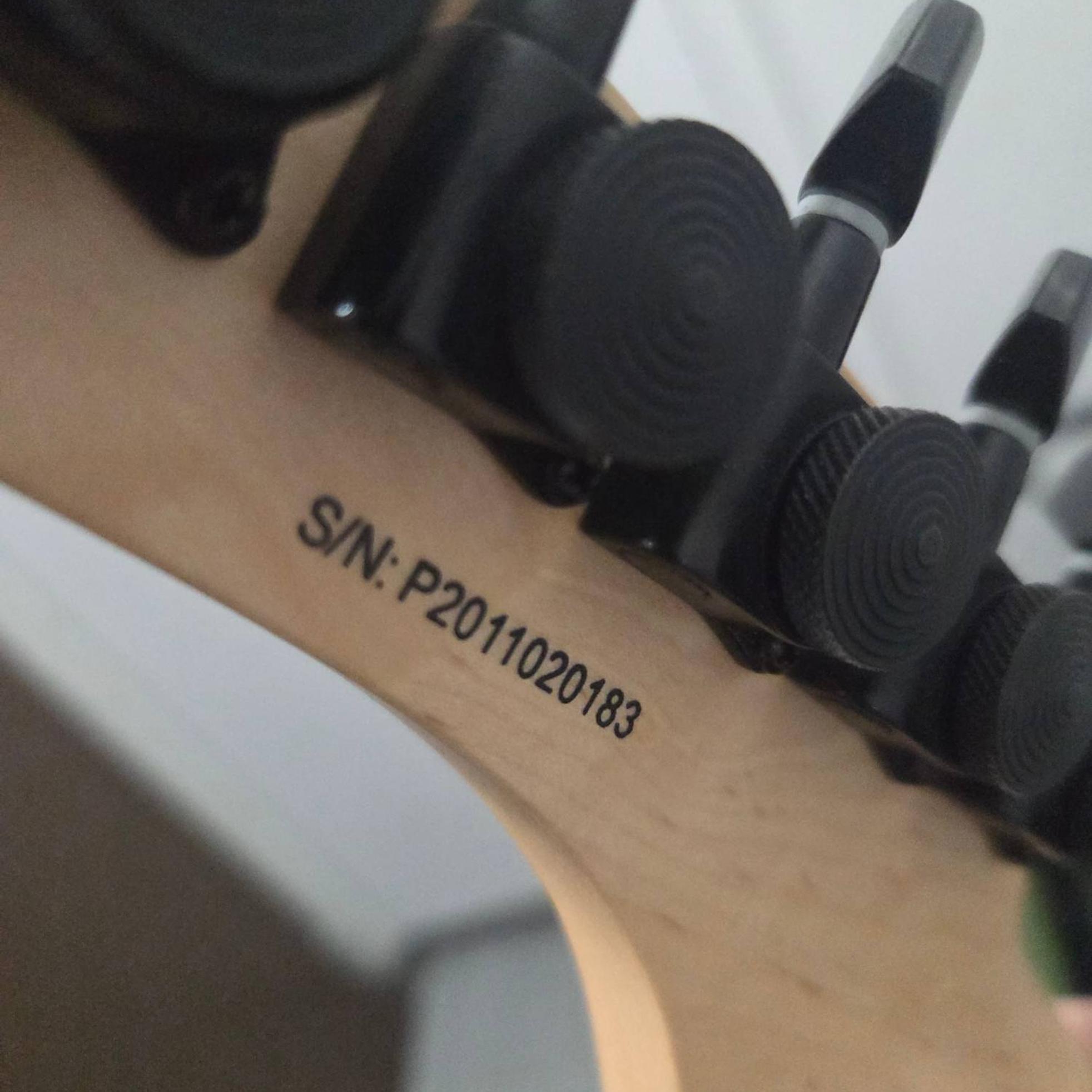 Panker [GUITARS] 사진 3