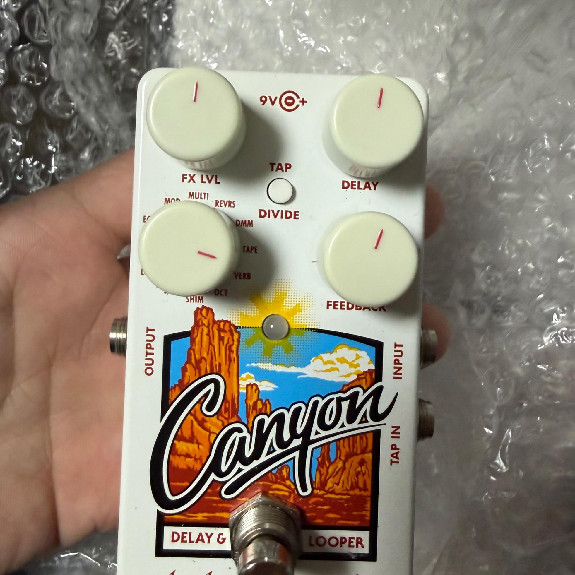 Electro-Harmonix Canyon 사진 1