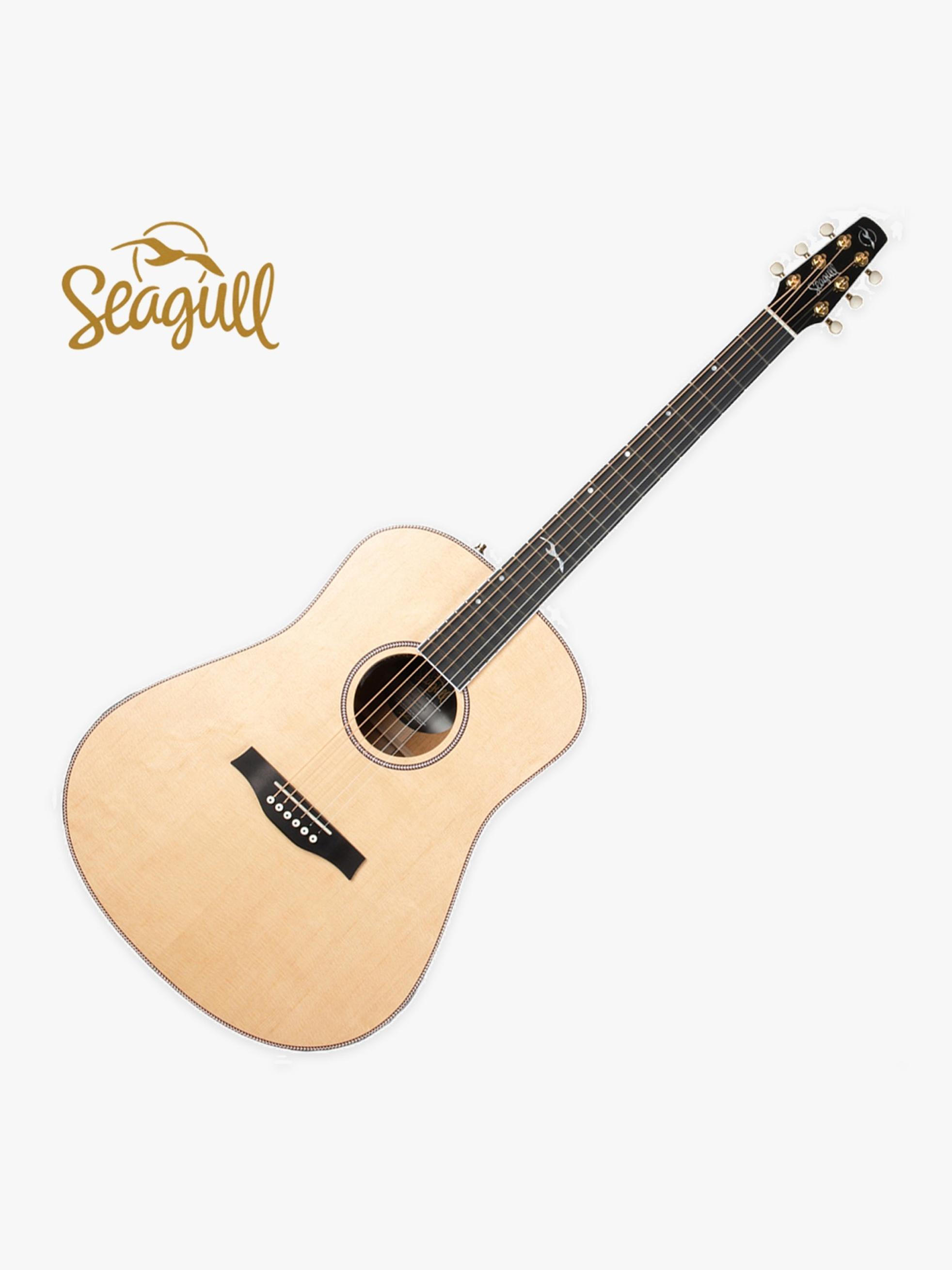Seagull Seagull Artist Mosaic Anthum EQ