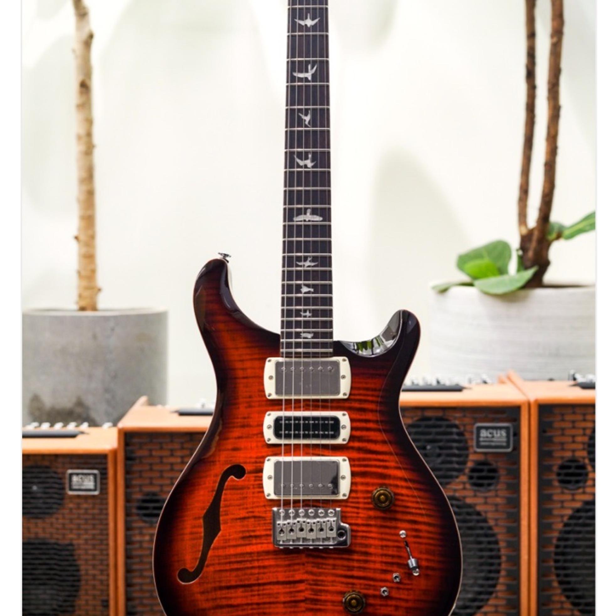 PRS Guitars Prs SE Special Semi Hollow  사진 5