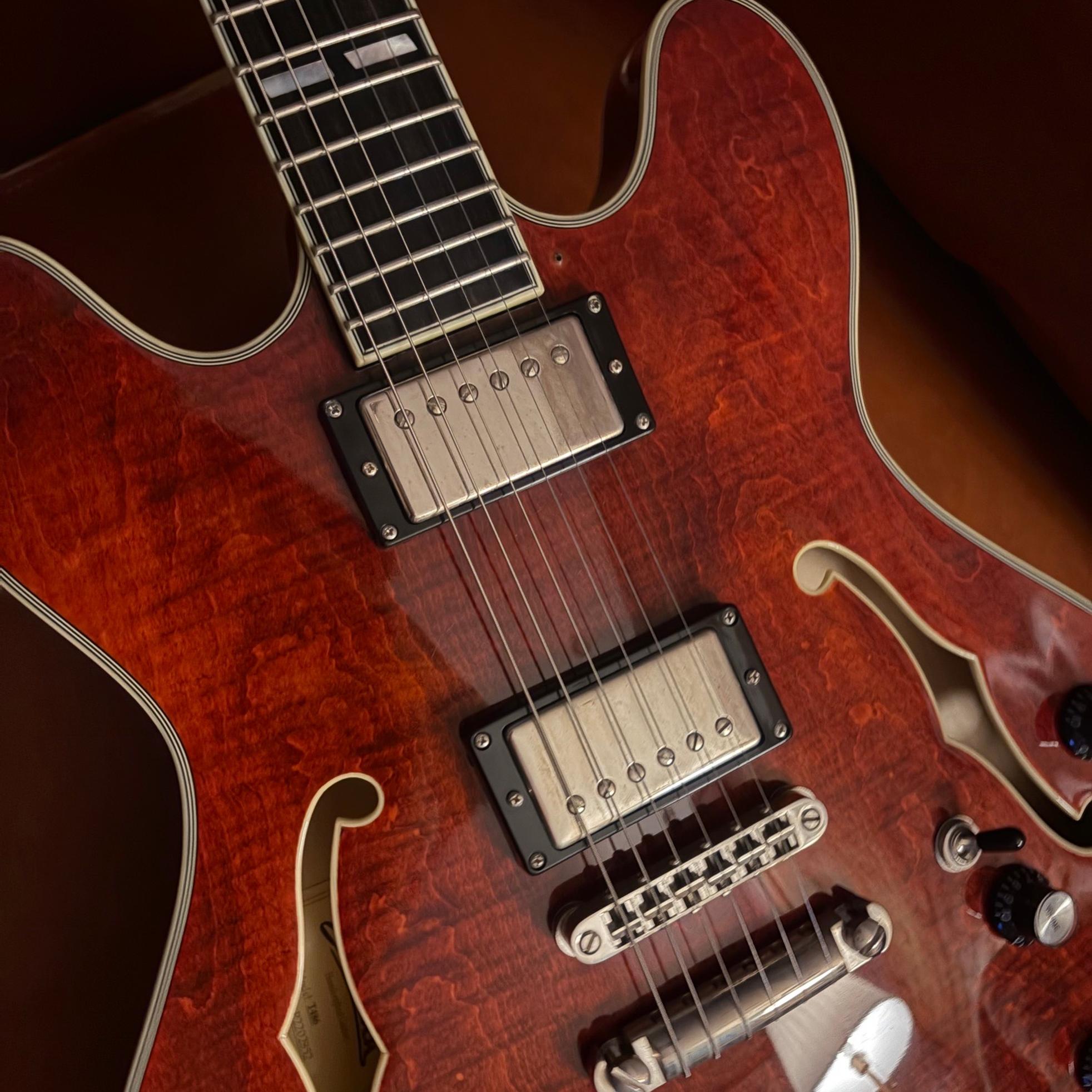 Eastman Eastman T486 / 이스트만 t486 사진 1