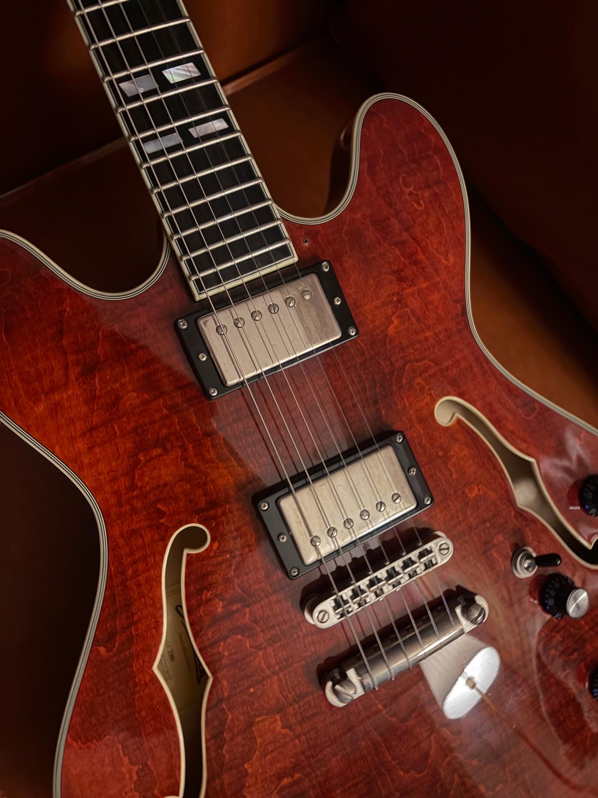 Eastman Eastman T486 / 이스트만 t486