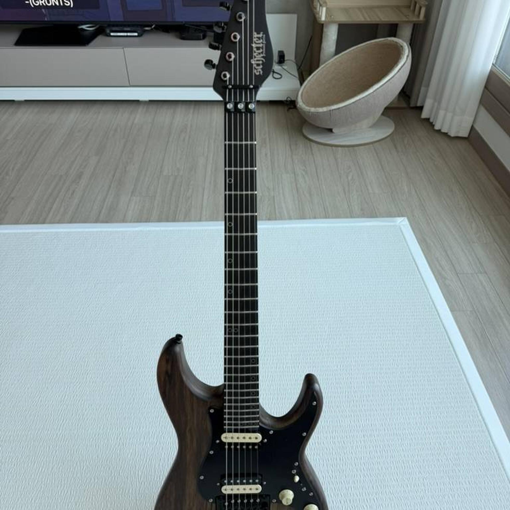 Schecter 쉑터 일레기타 팝니다 중고 7개월 사진 7