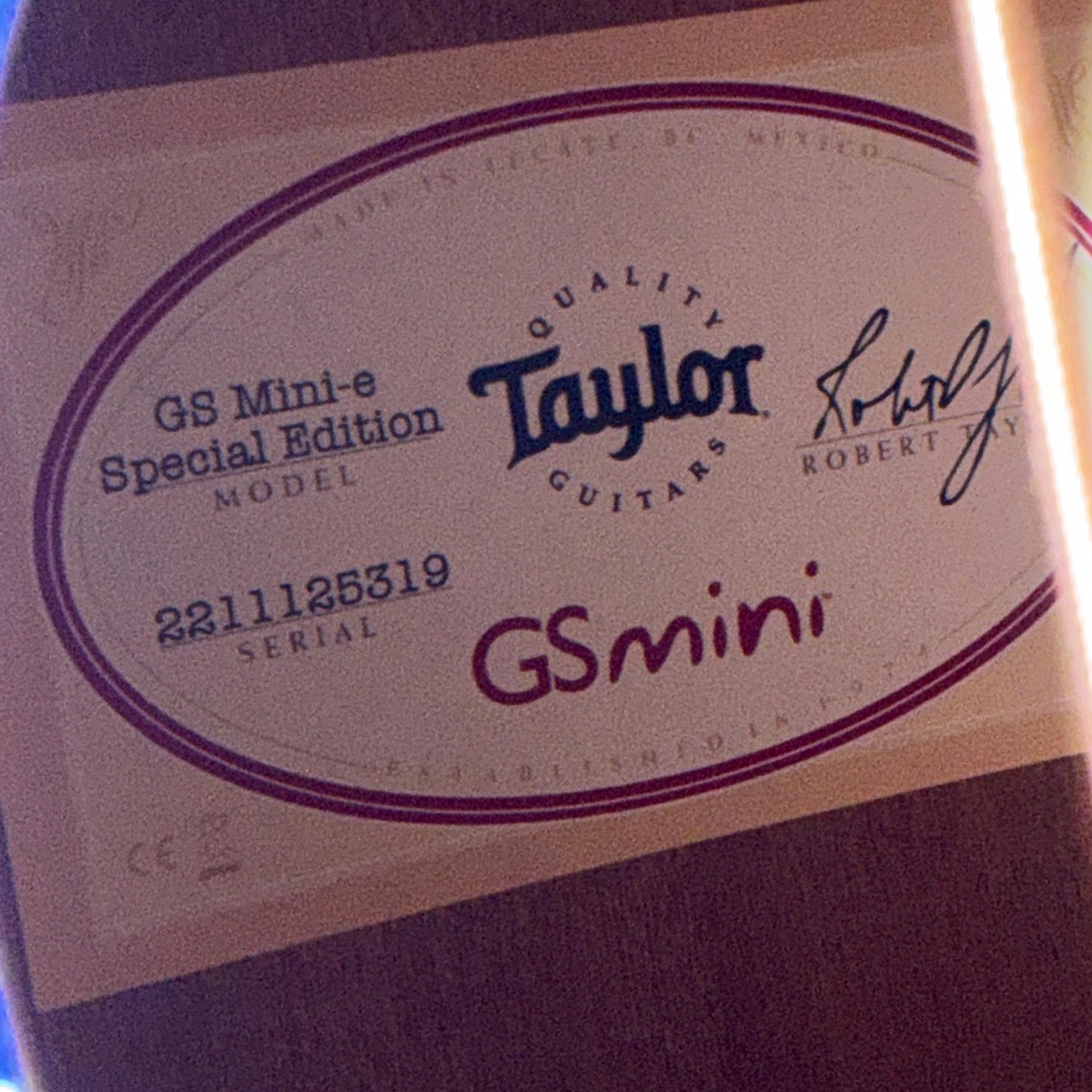 Taylor GS Mini-e special edition moonrise blue paisely 사진 7